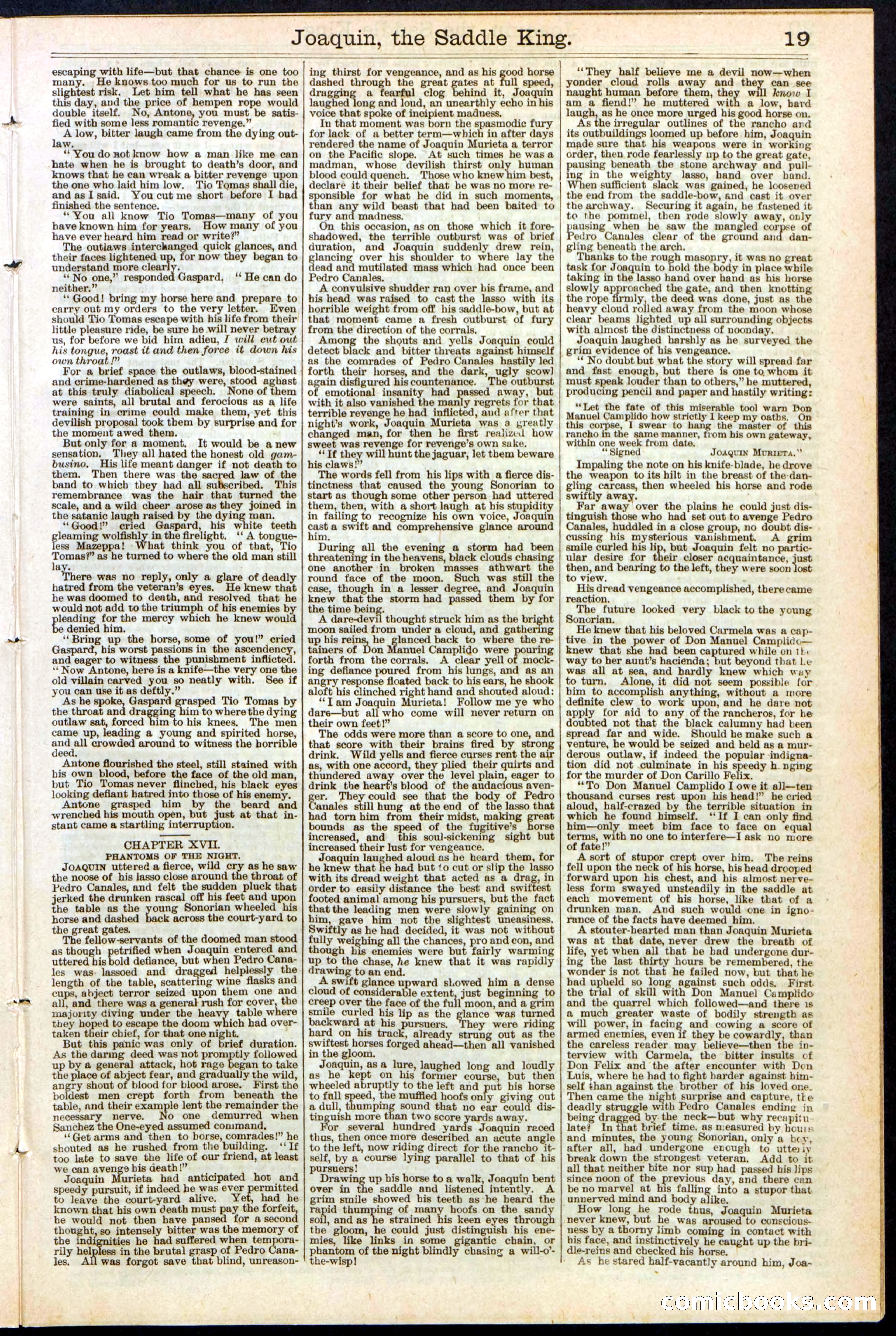 Beadle's New York Dime Library No. 154 — page 19 of 32