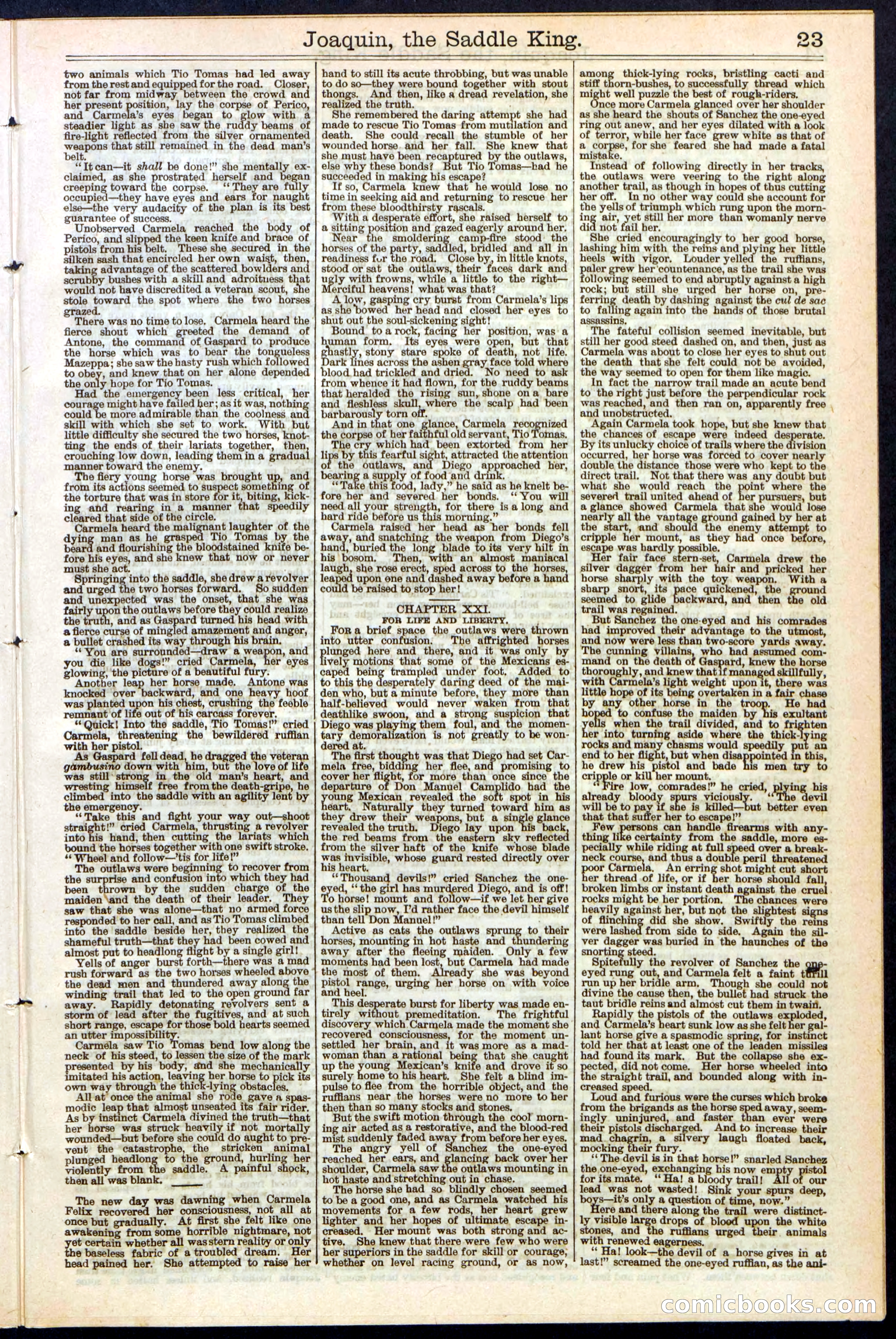 Beadle's New York Dime Library No. 154 — page 23 of 32