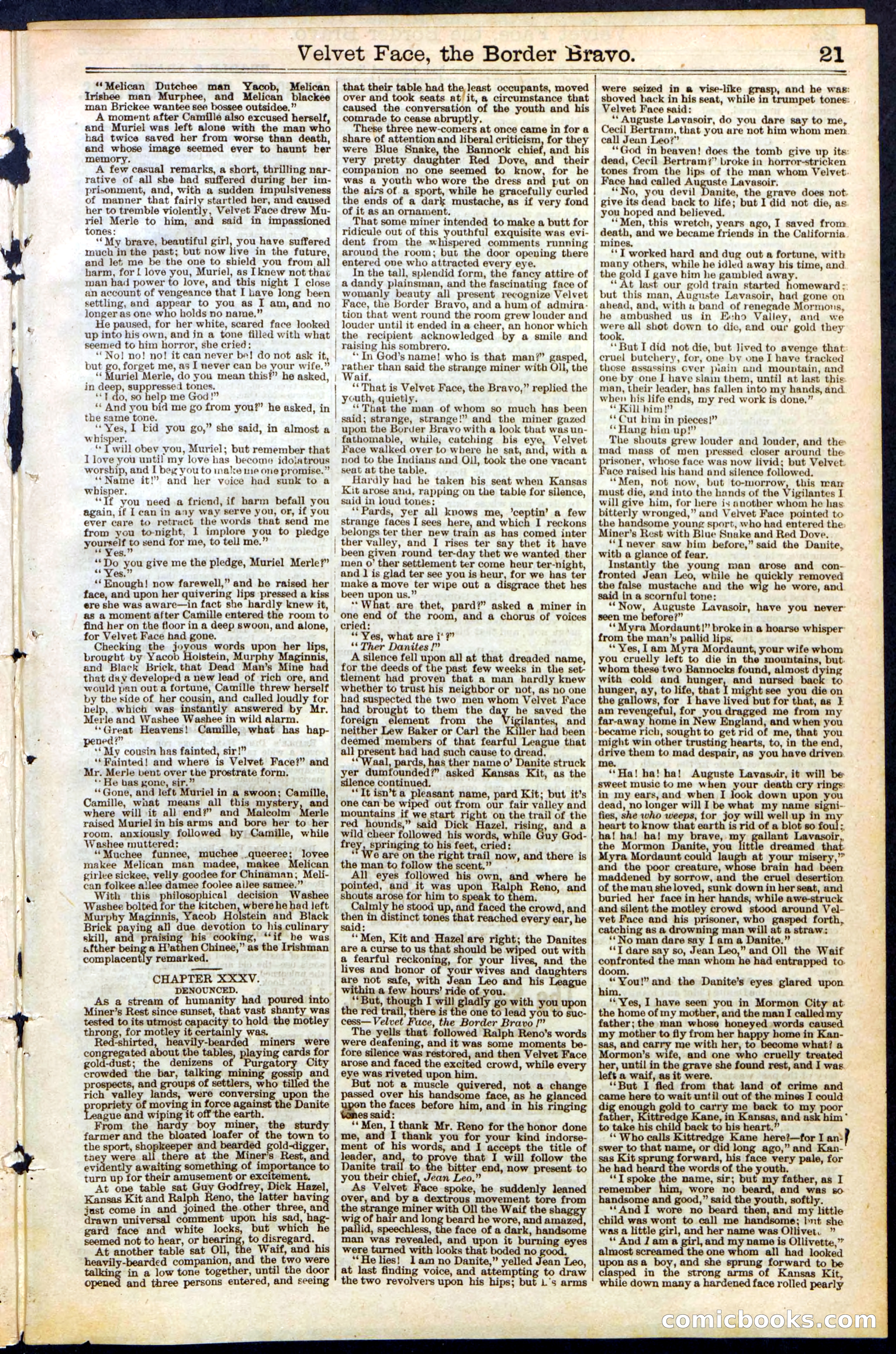 Beadle's New York Dime Library, No. 156 — page 21 of 24