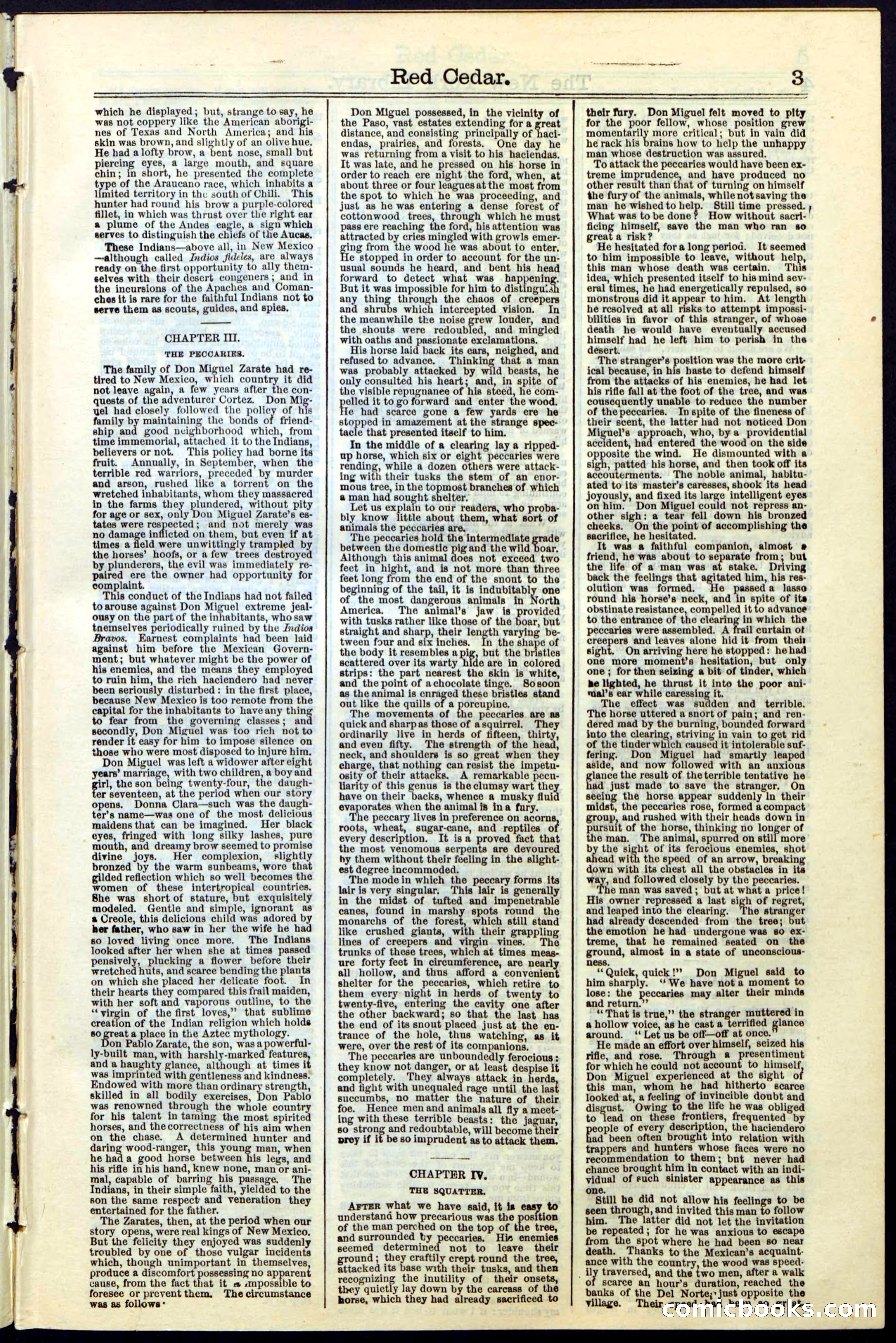 Beadle's New York Dime Library No. 19 — page 3 of 40
