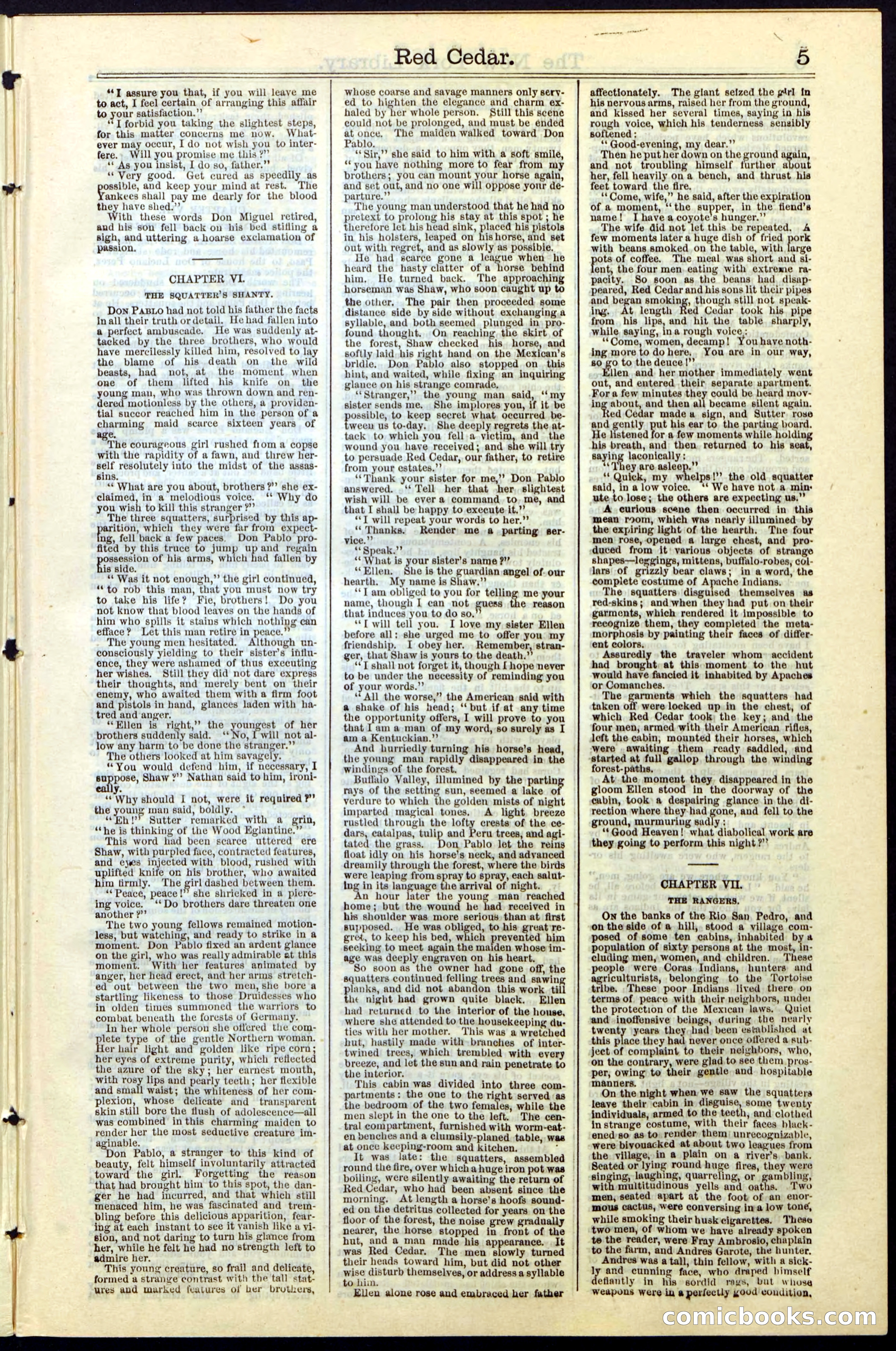 Beadle's New York Dime Library No. 19 — page 5 of 40