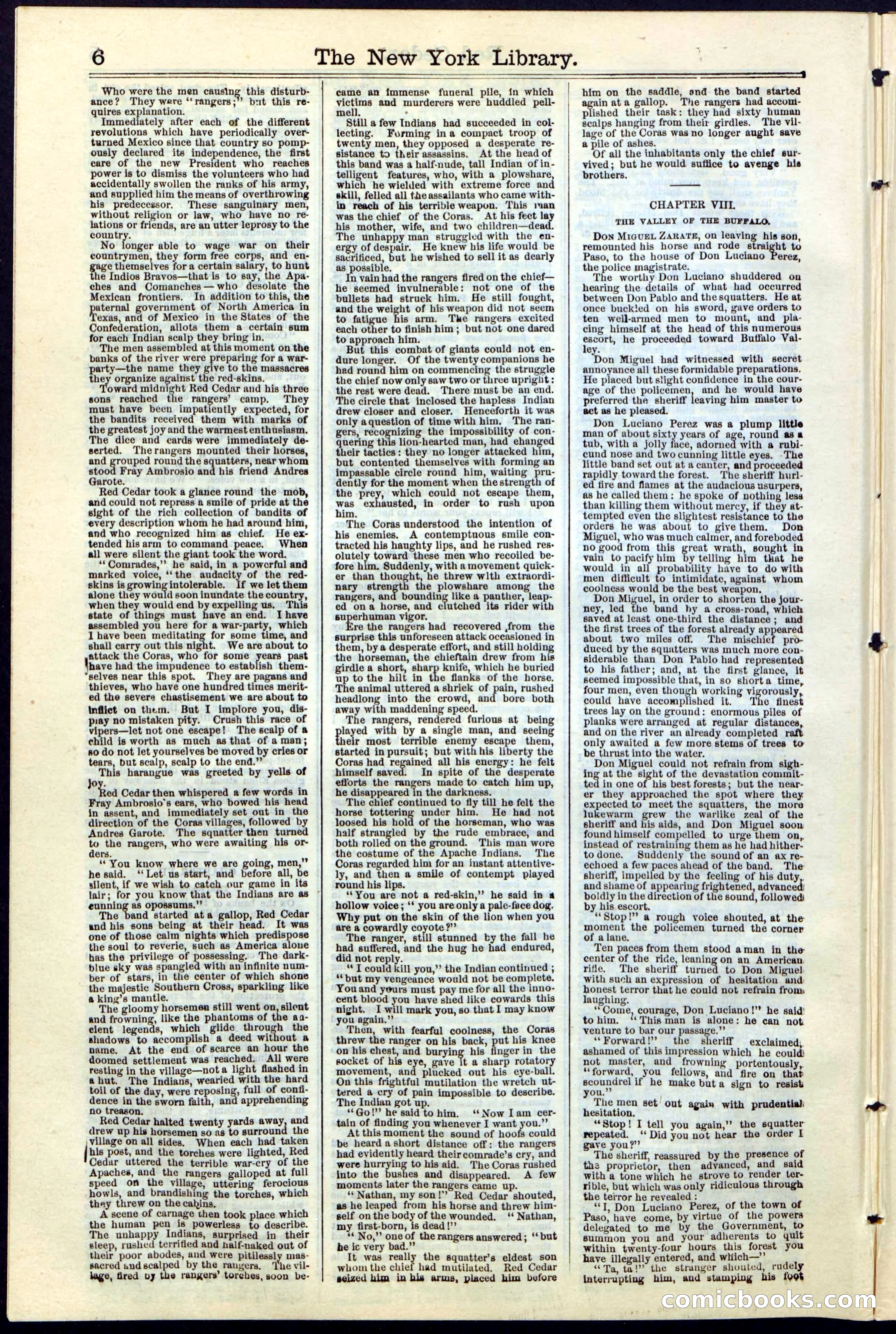 Beadle's New York Dime Library No. 19 — page 6 of 40