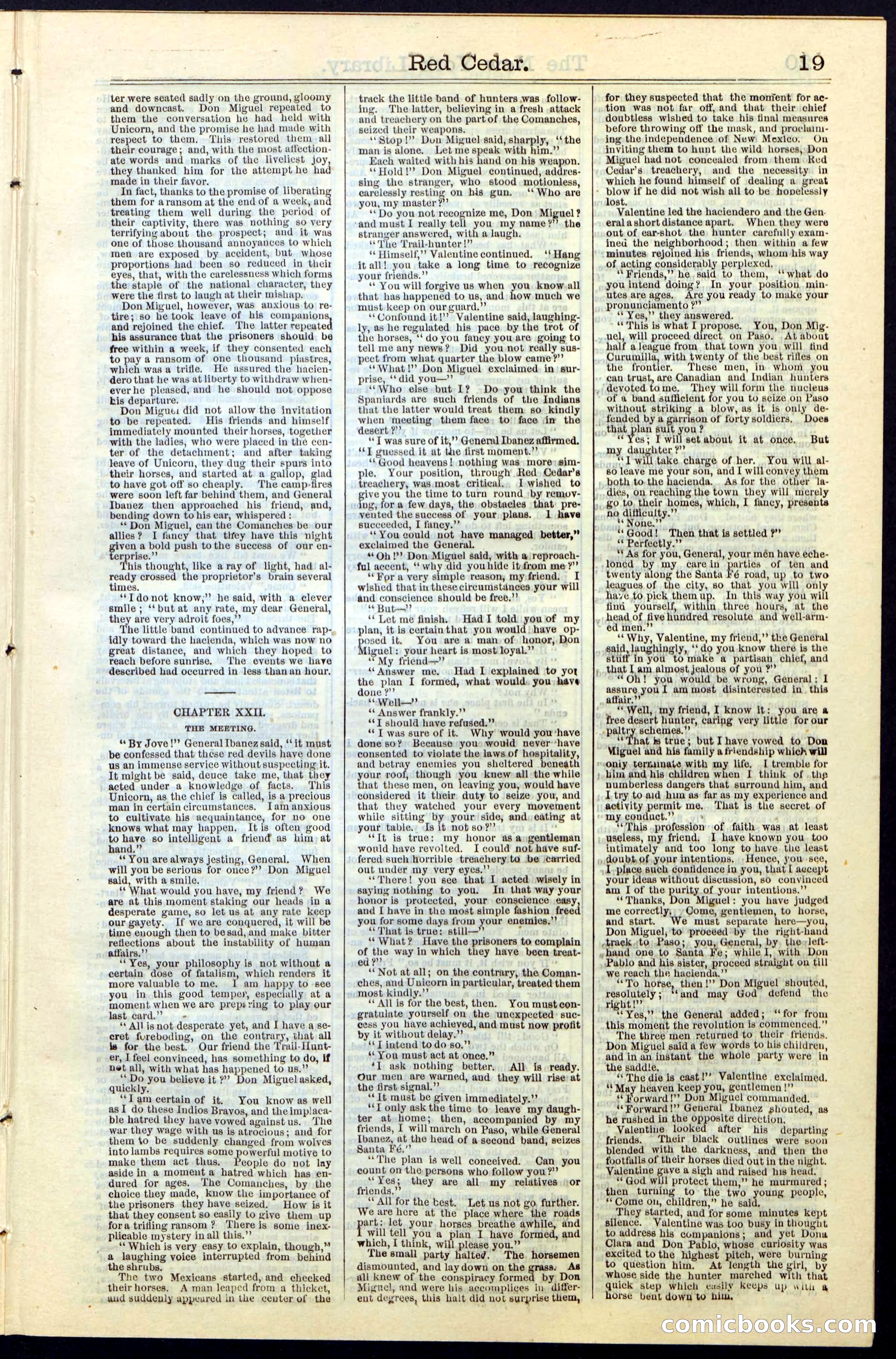 Beadle's New York Dime Library No. 19 — page 19 of 40