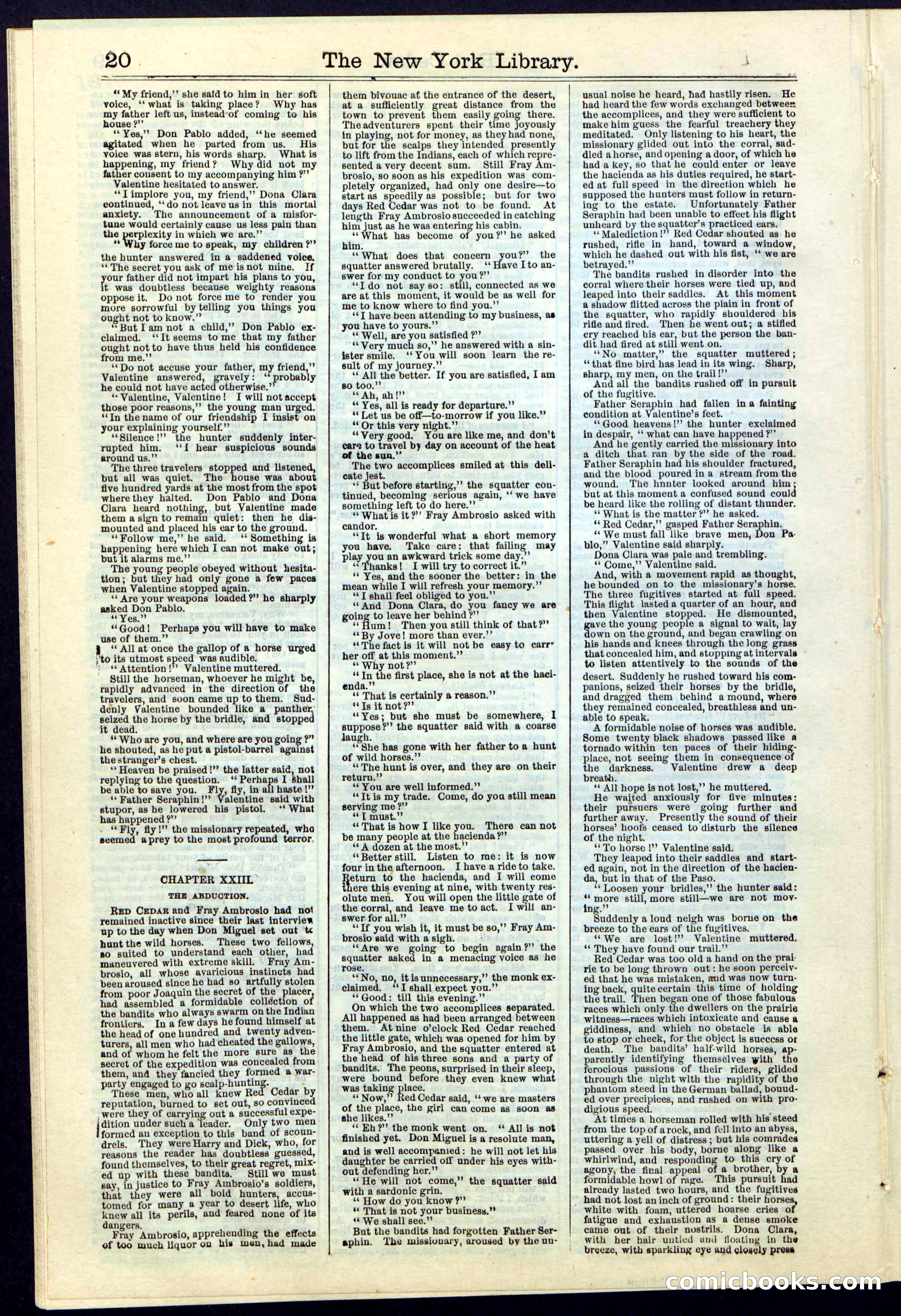 Beadle's New York Dime Library No. 19 — page 20 of 40