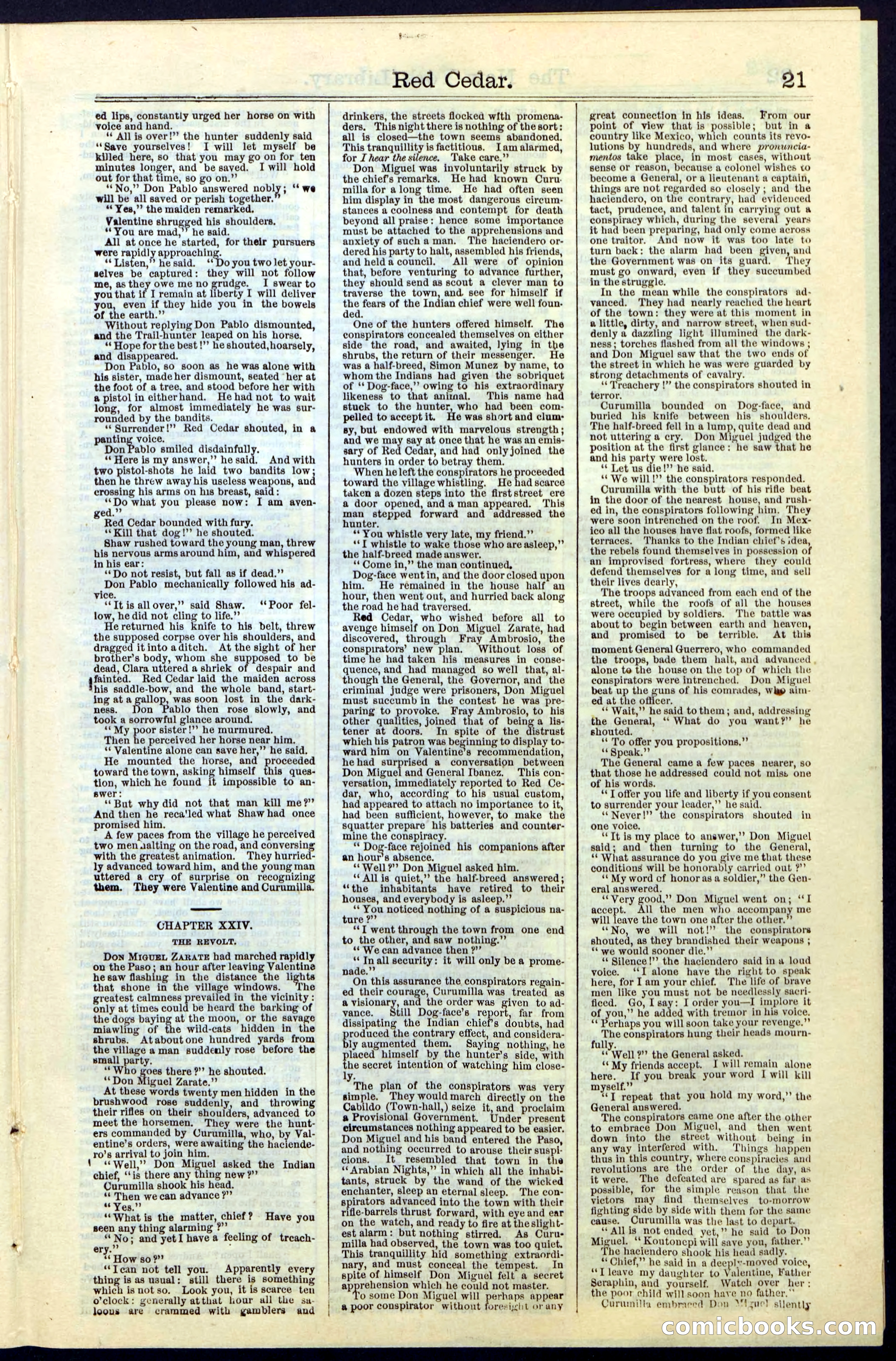 Beadle's New York Dime Library No. 19 — page 21 of 40