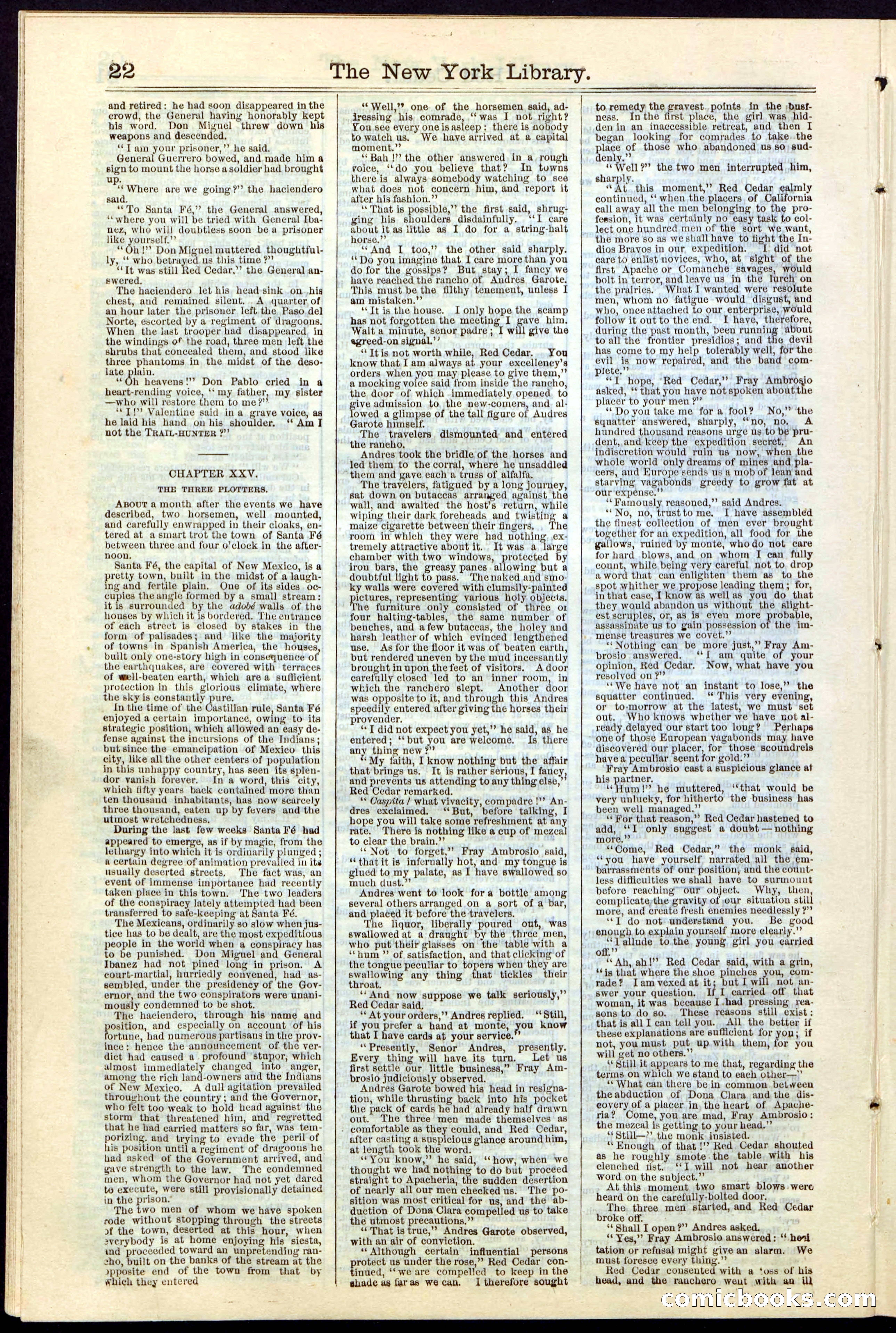 Beadle's New York Dime Library No. 19 — page 22 of 40