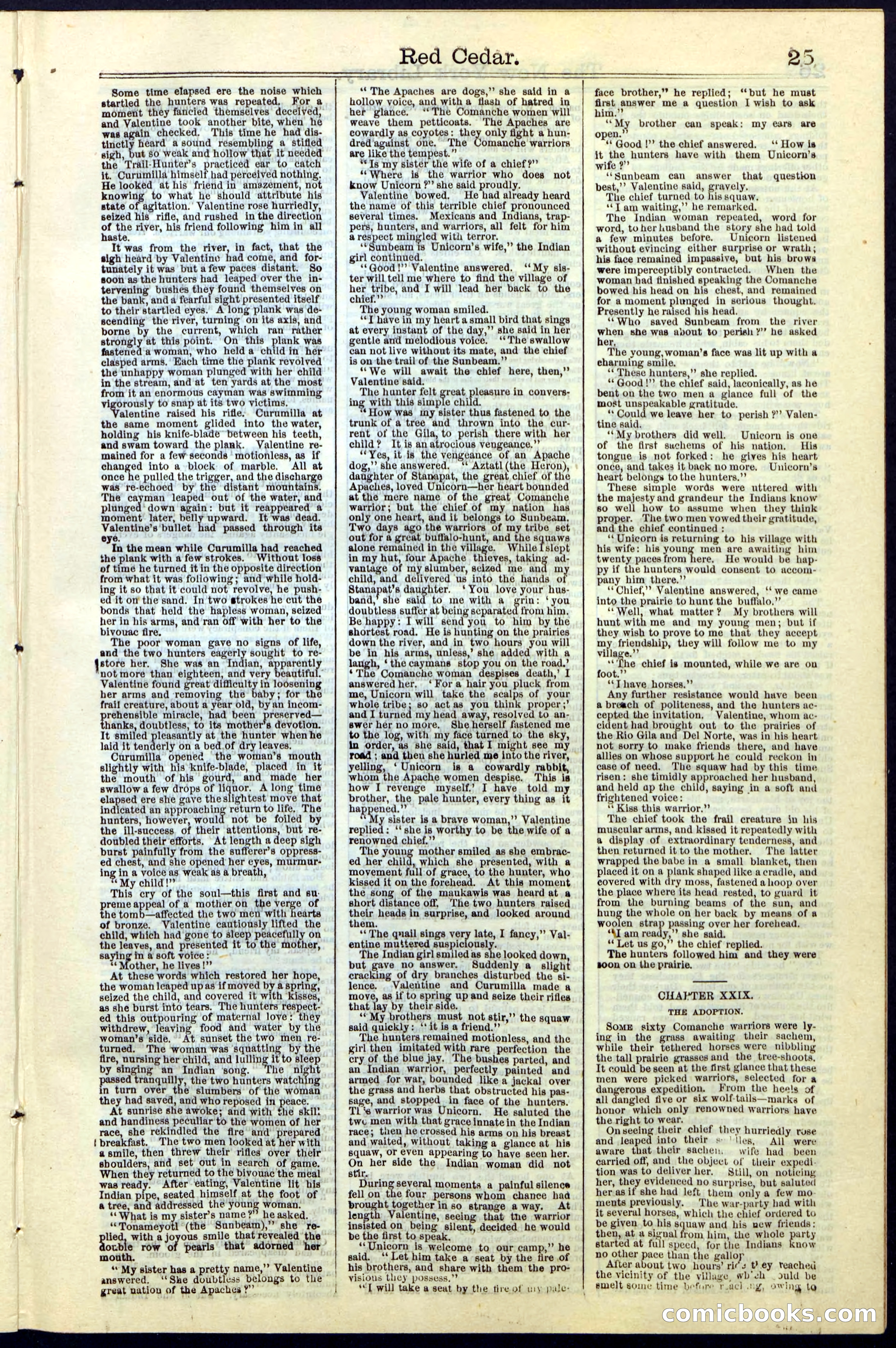 Beadle's New York Dime Library No. 19 — page 25 of 40