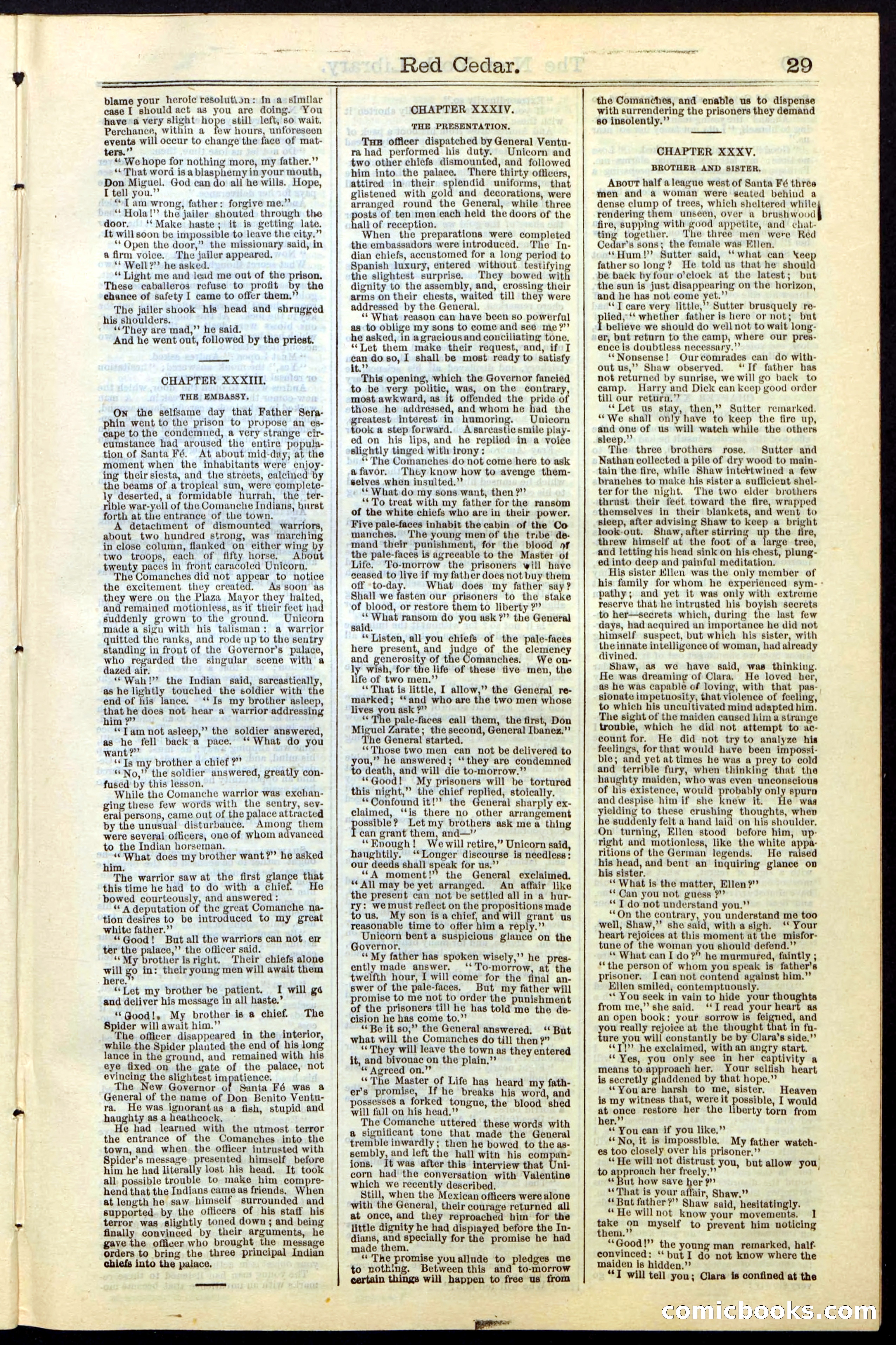 Beadle's New York Dime Library No. 19 — page 29 of 40