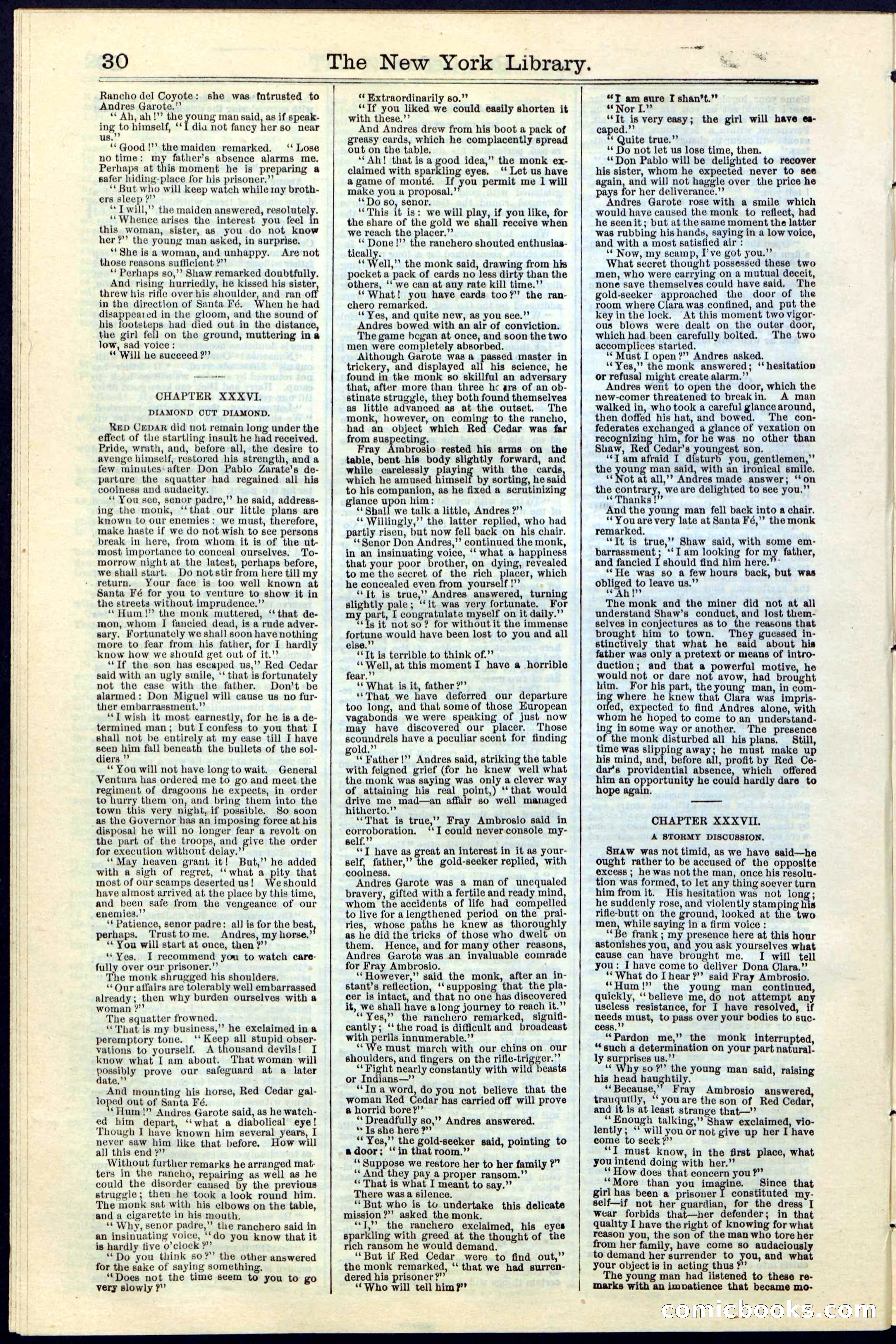 Beadle's New York Dime Library No. 19 — page 30 of 40