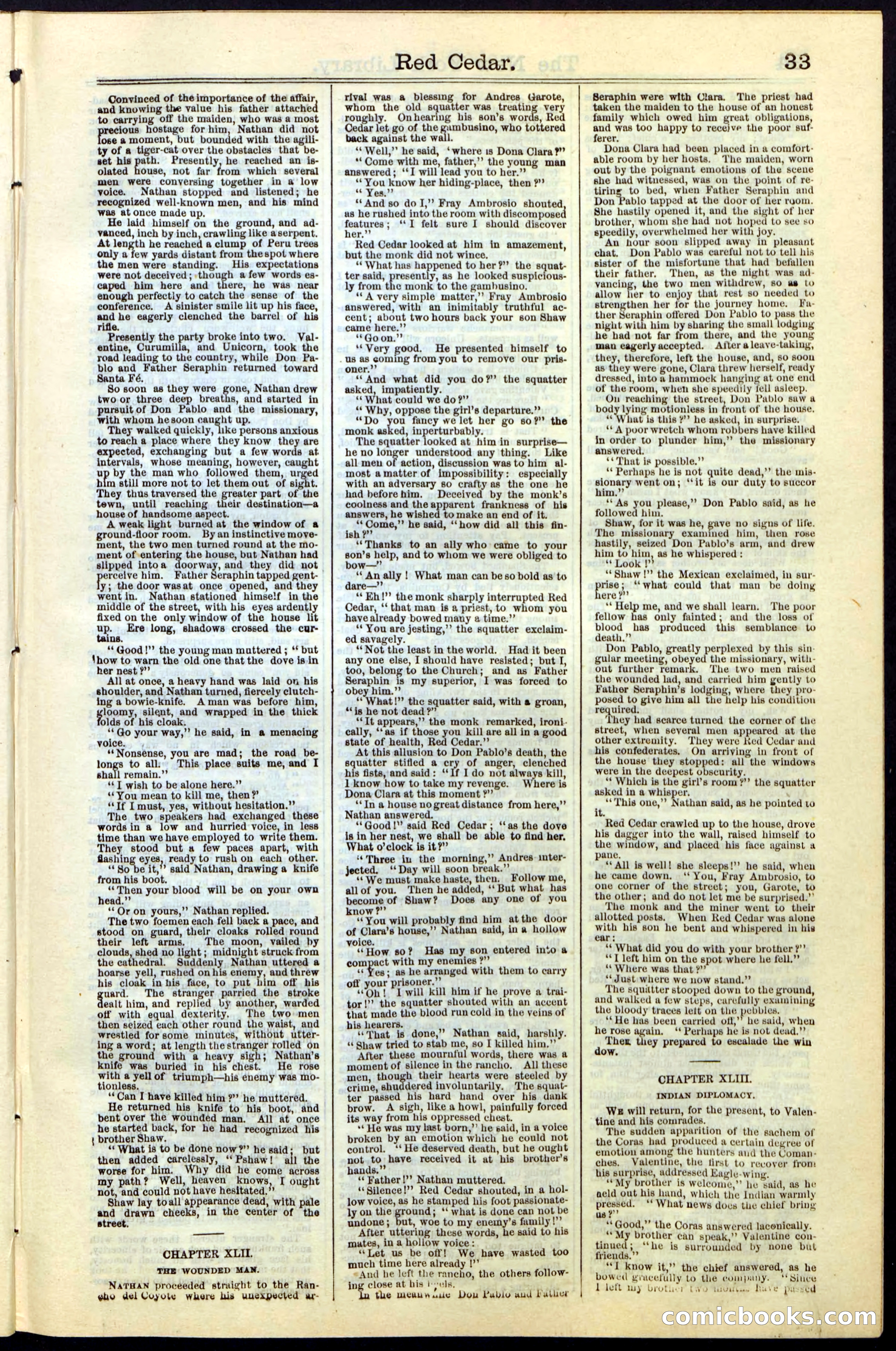 Beadle's New York Dime Library No. 19 — page 33 of 40