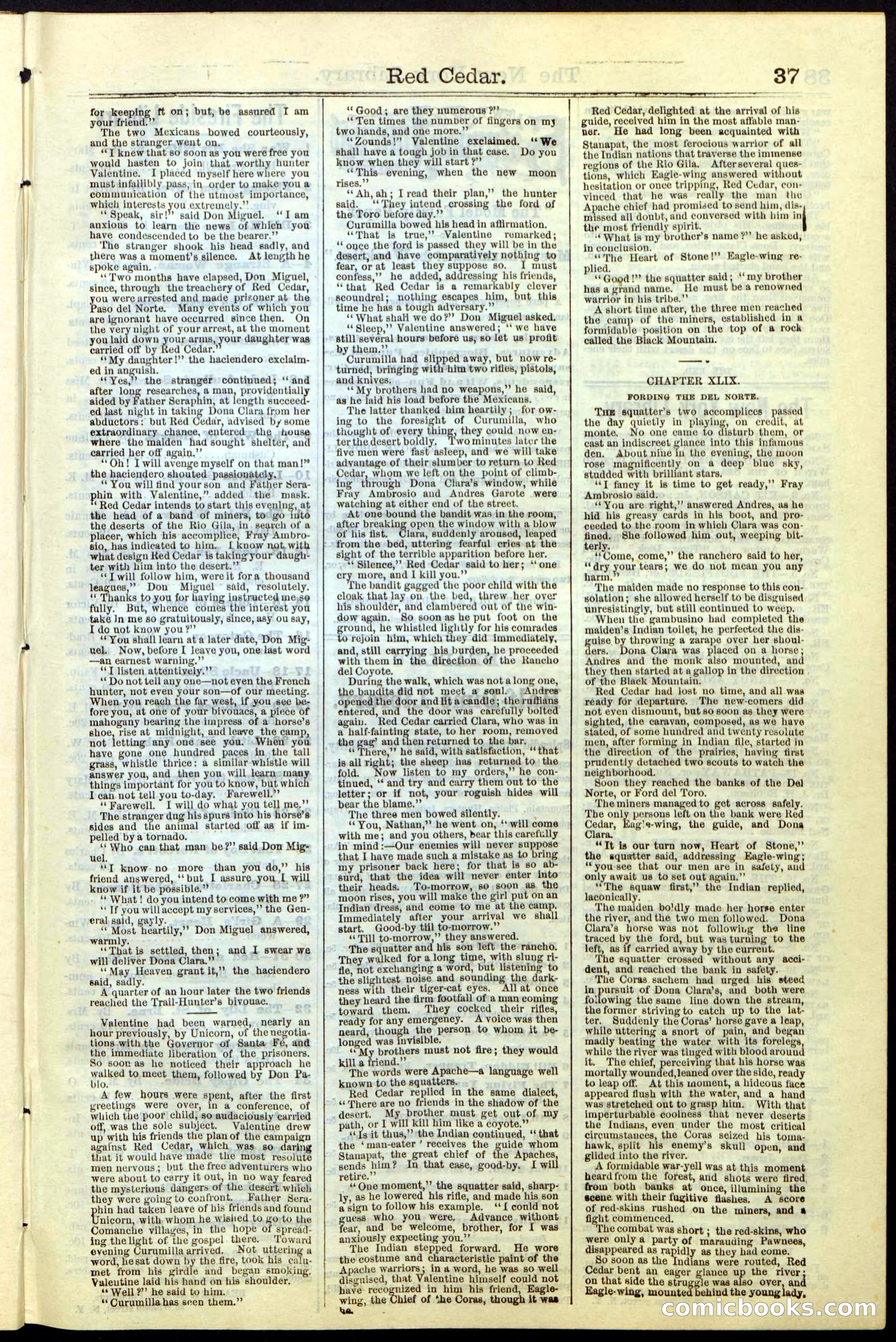 Beadle's New York Dime Library No. 19 — page 37 of 40
