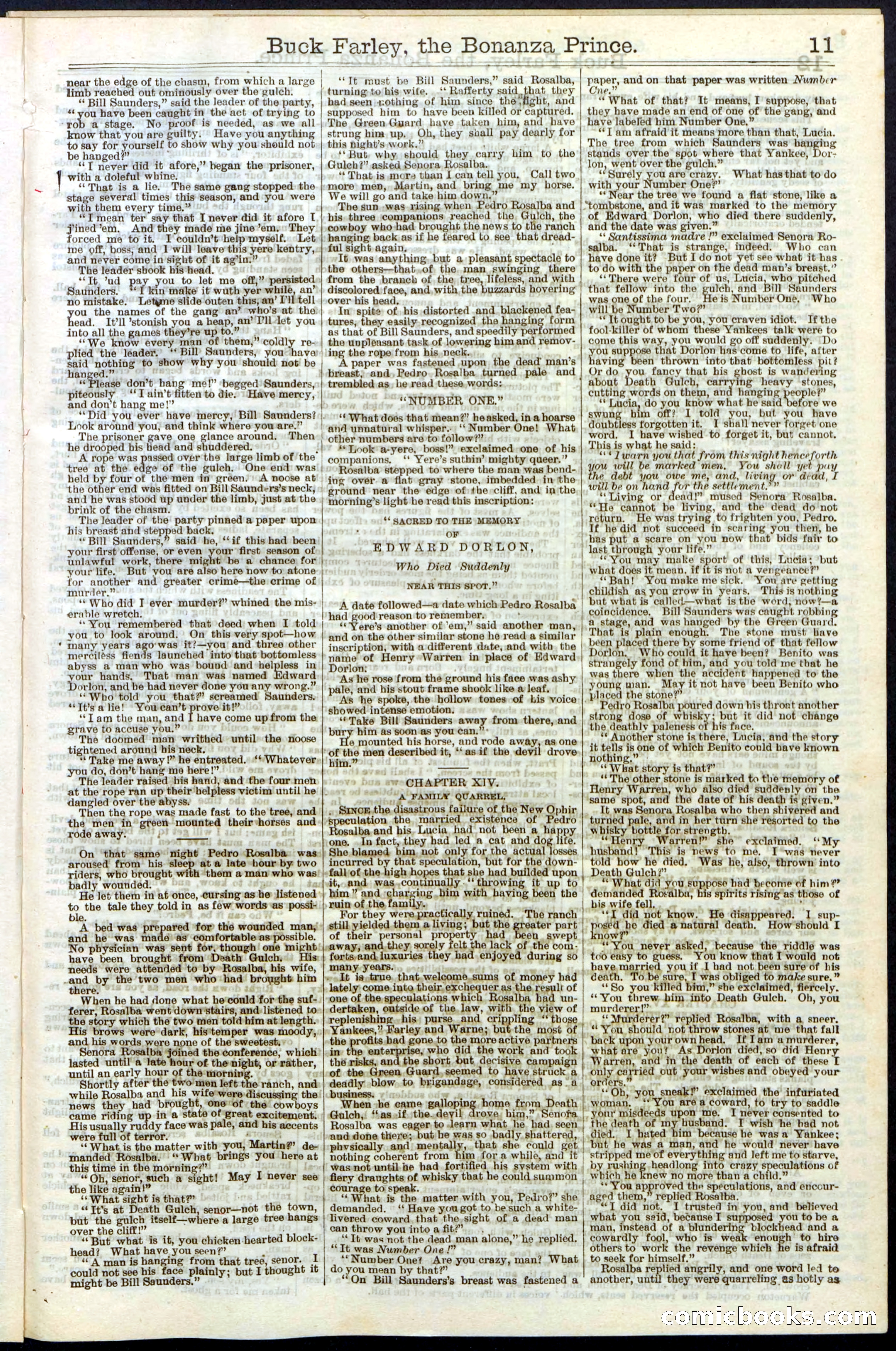Beadle's New York Dime Library No. 209 — page 11 of 24