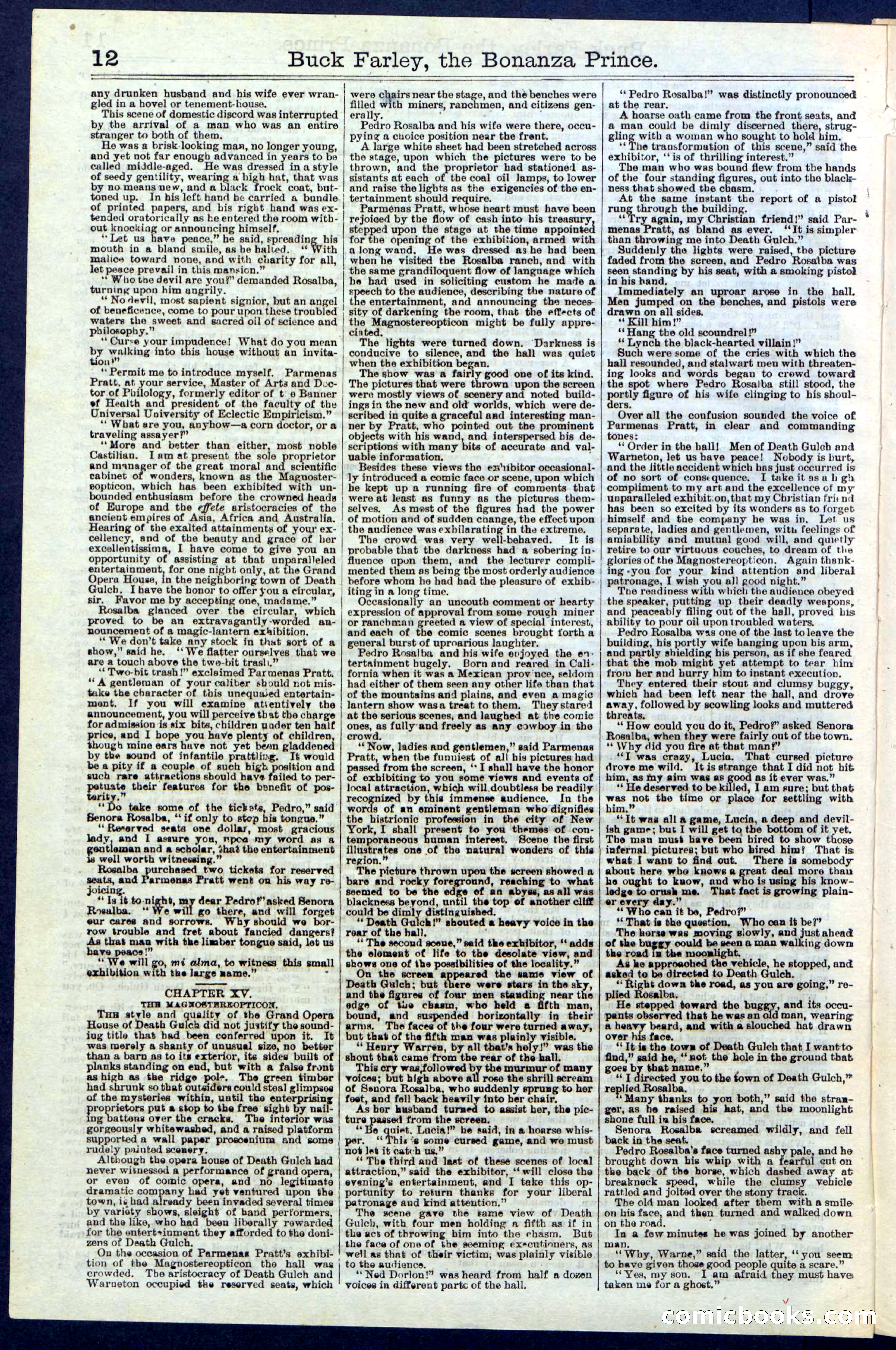 Beadle's New York Dime Library No. 209 — page 12 of 24
