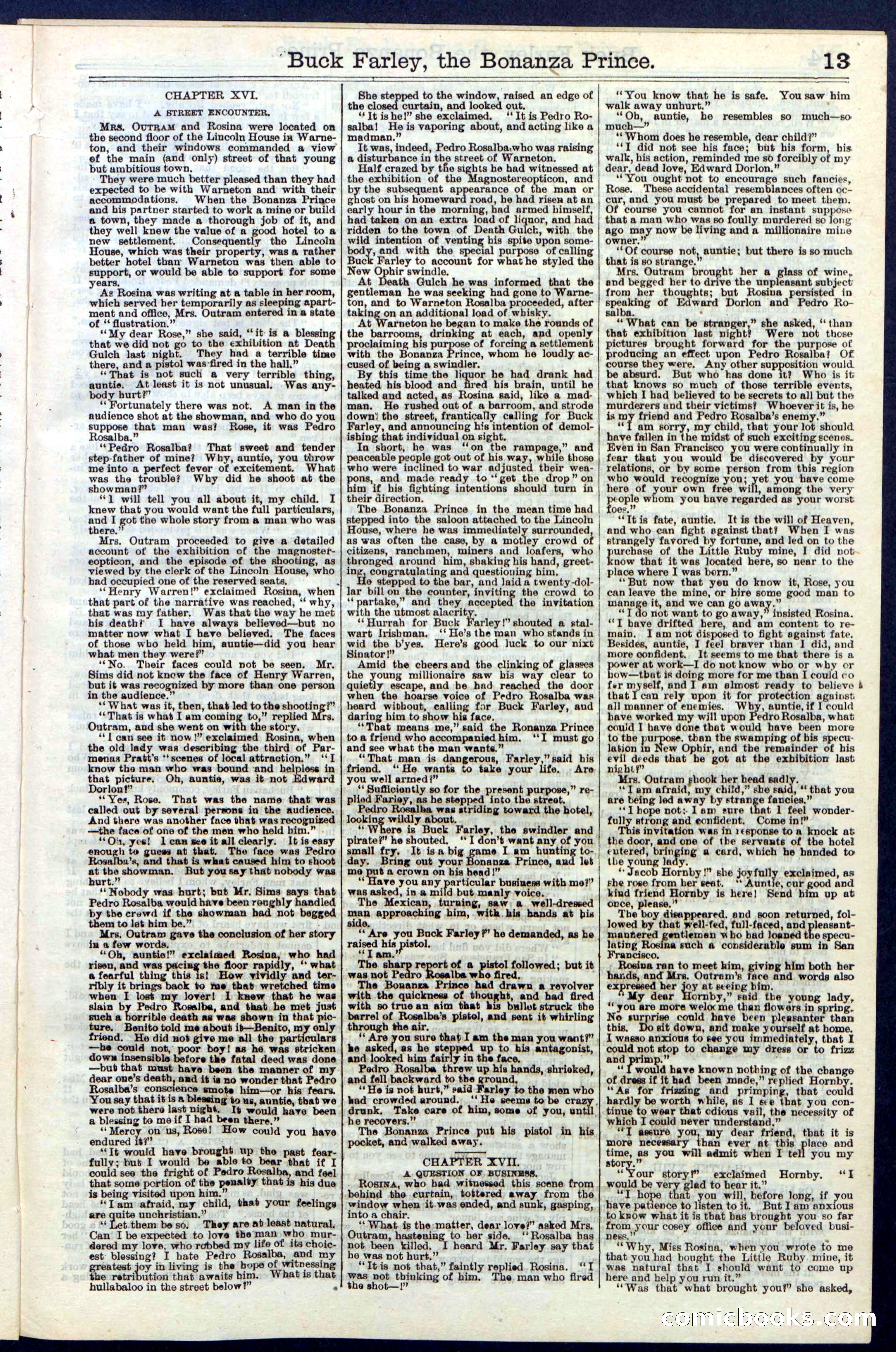 Beadle's New York Dime Library No. 209 — page 13 of 24