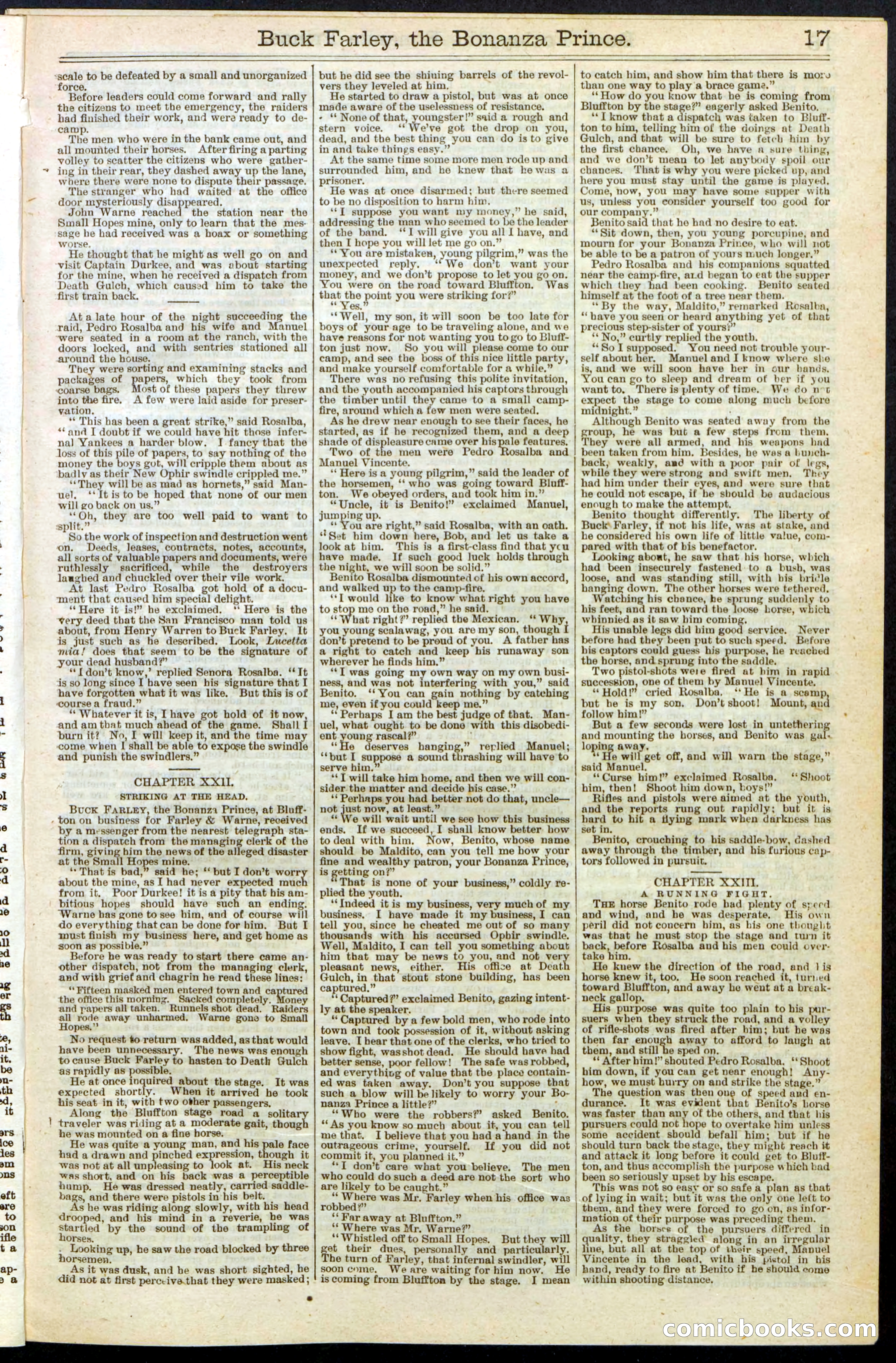 Beadle's New York Dime Library No. 209 — page 17 of 24