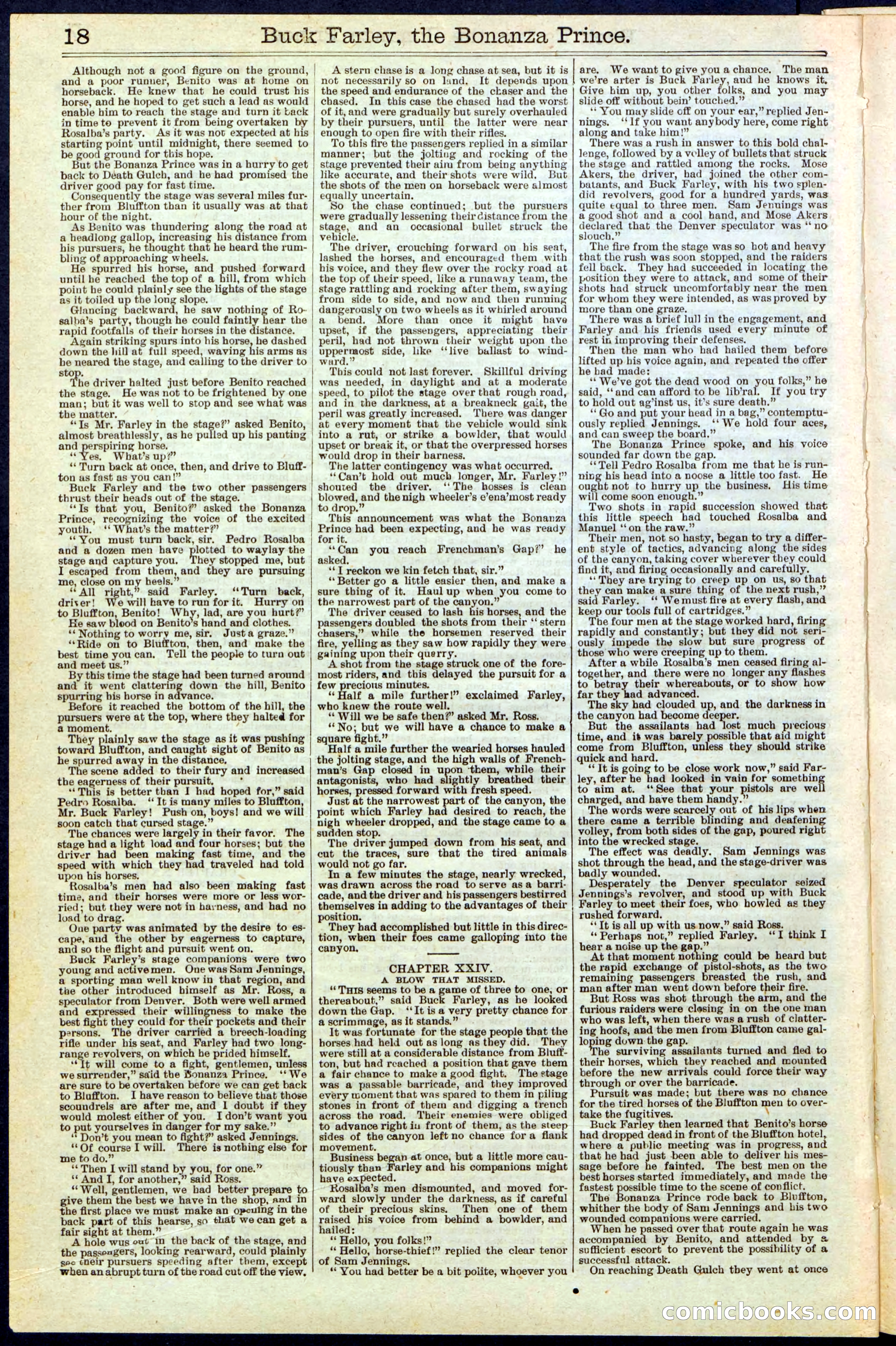 Beadle's New York Dime Library No. 209 — page 18 of 24