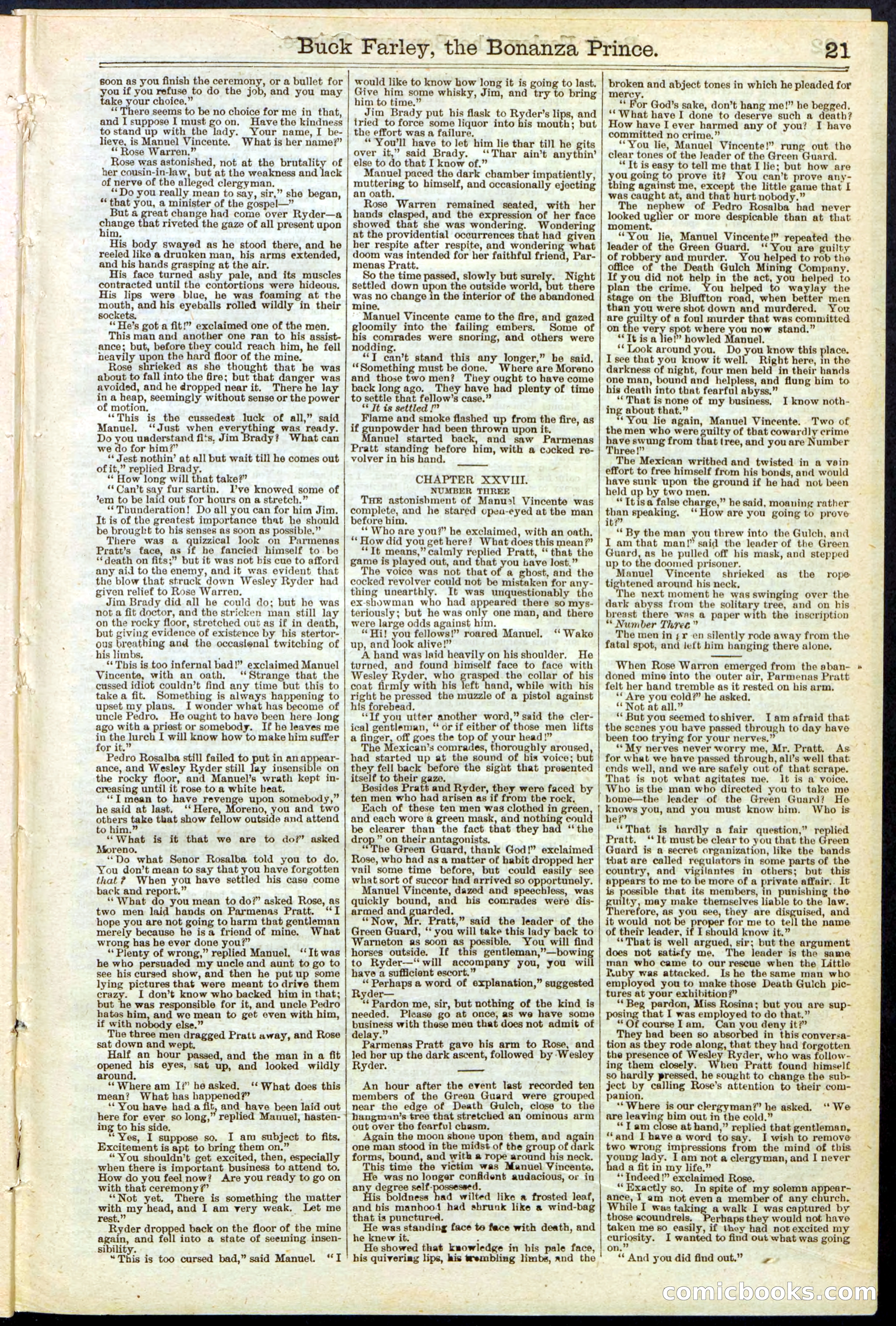 Beadle's New York Dime Library No. 209 — page 21 of 24