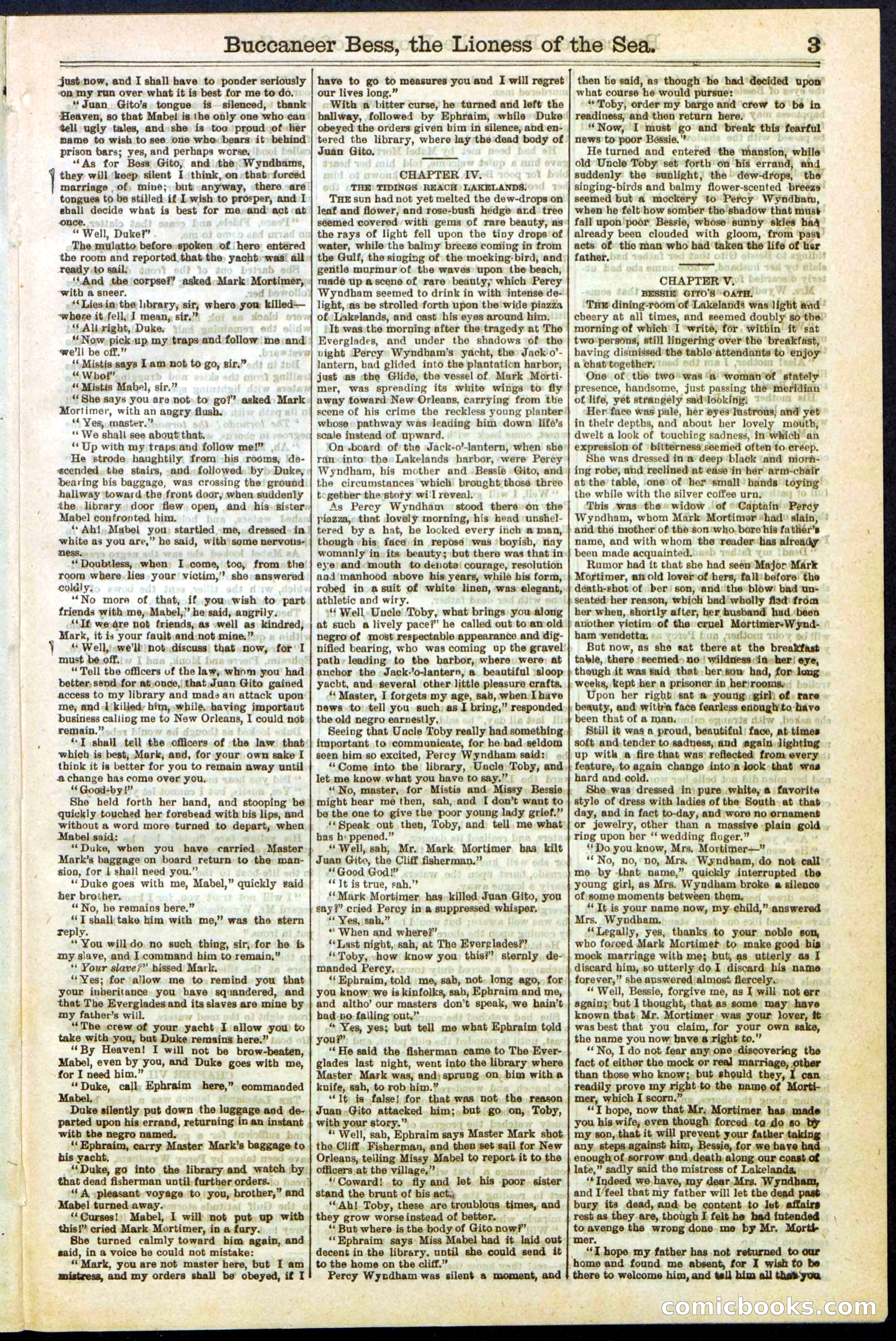 Beadle's New York Dime Library No. 210 — page 3 of 32