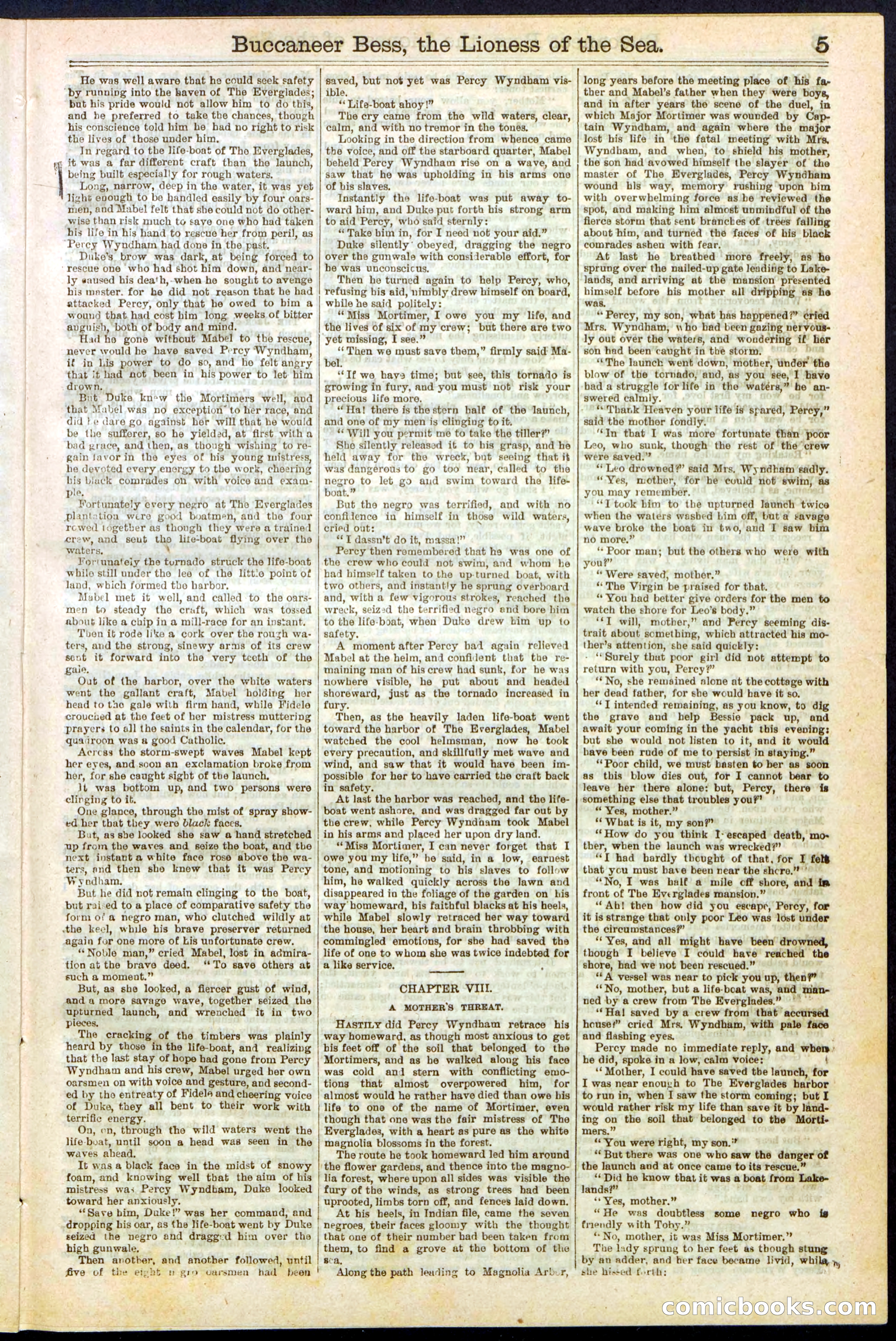 Beadle's New York Dime Library No. 210 — page 5 of 32