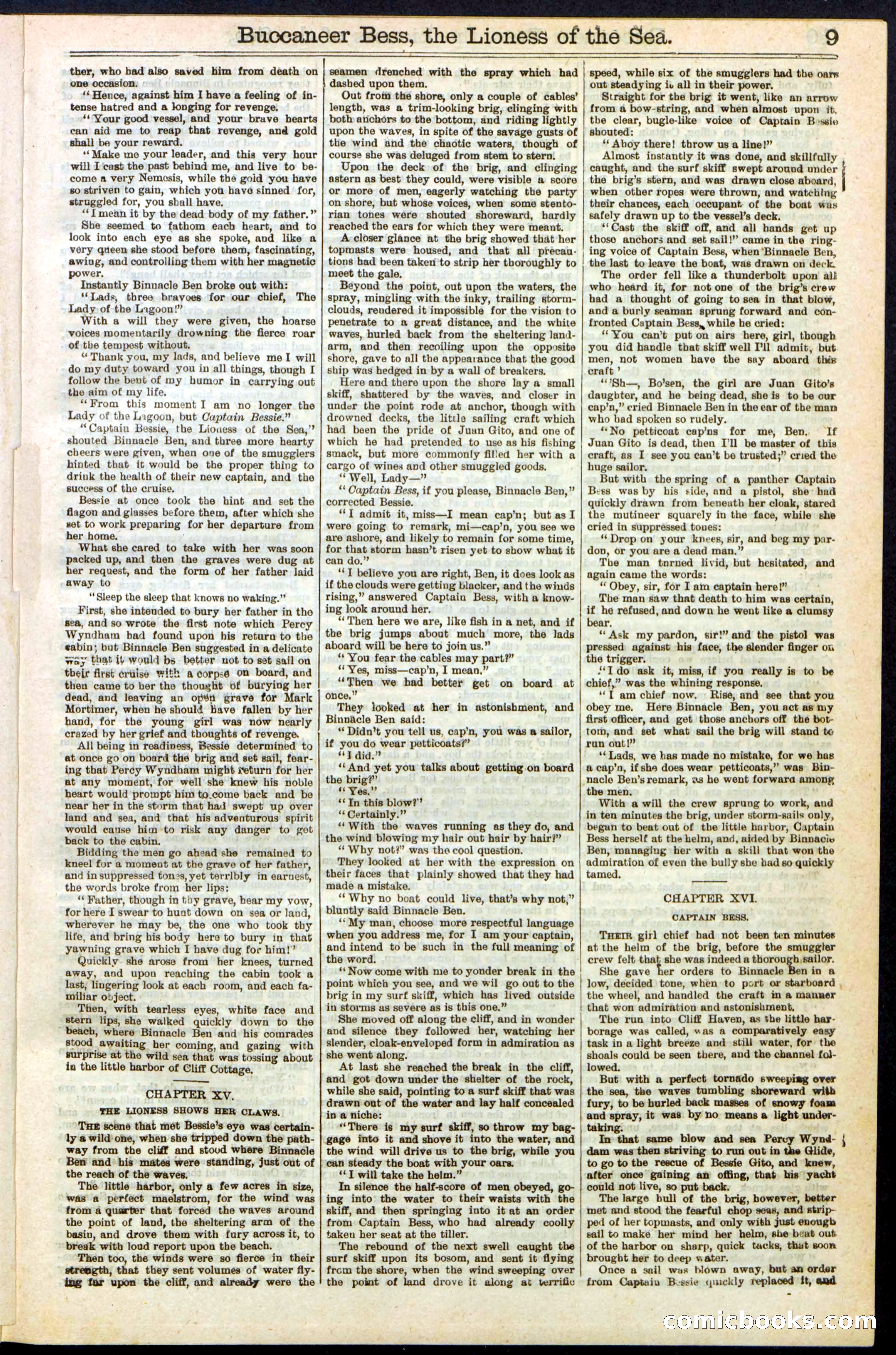 Beadle's New York Dime Library No. 210 — page 9 of 32