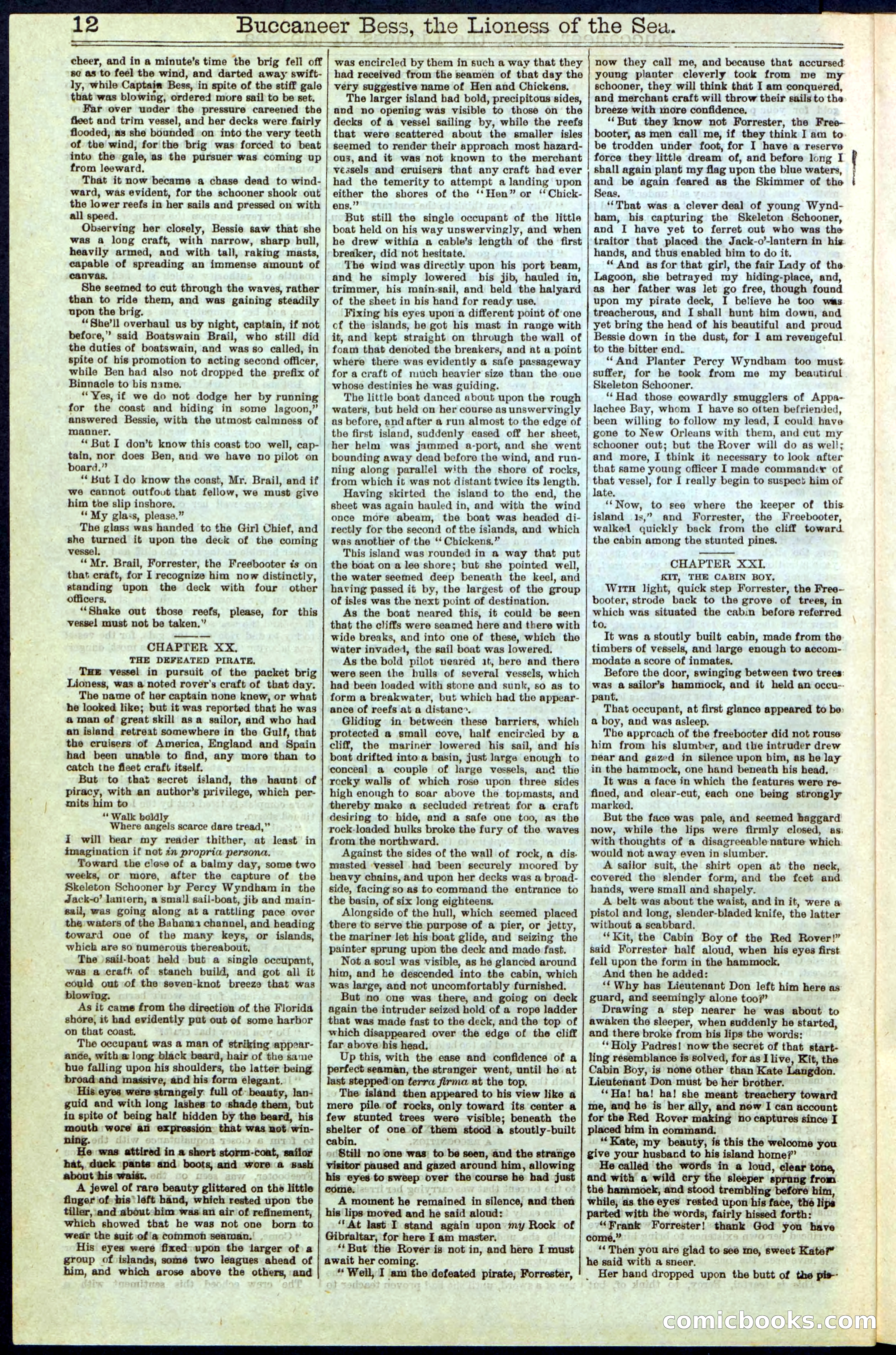 Beadle's New York Dime Library No. 210 — page 12 of 32