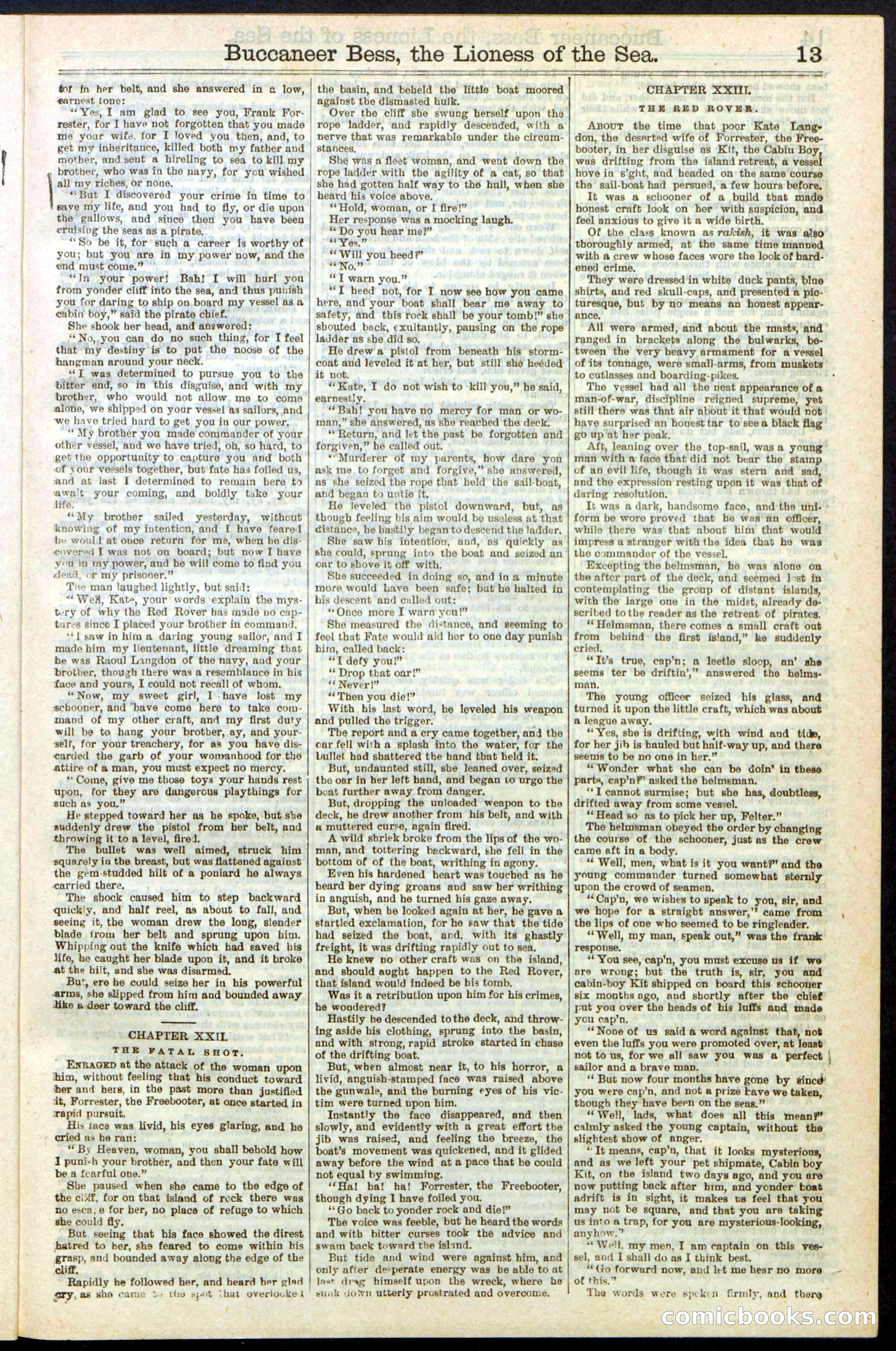 Beadle's New York Dime Library No. 210 — page 13 of 32