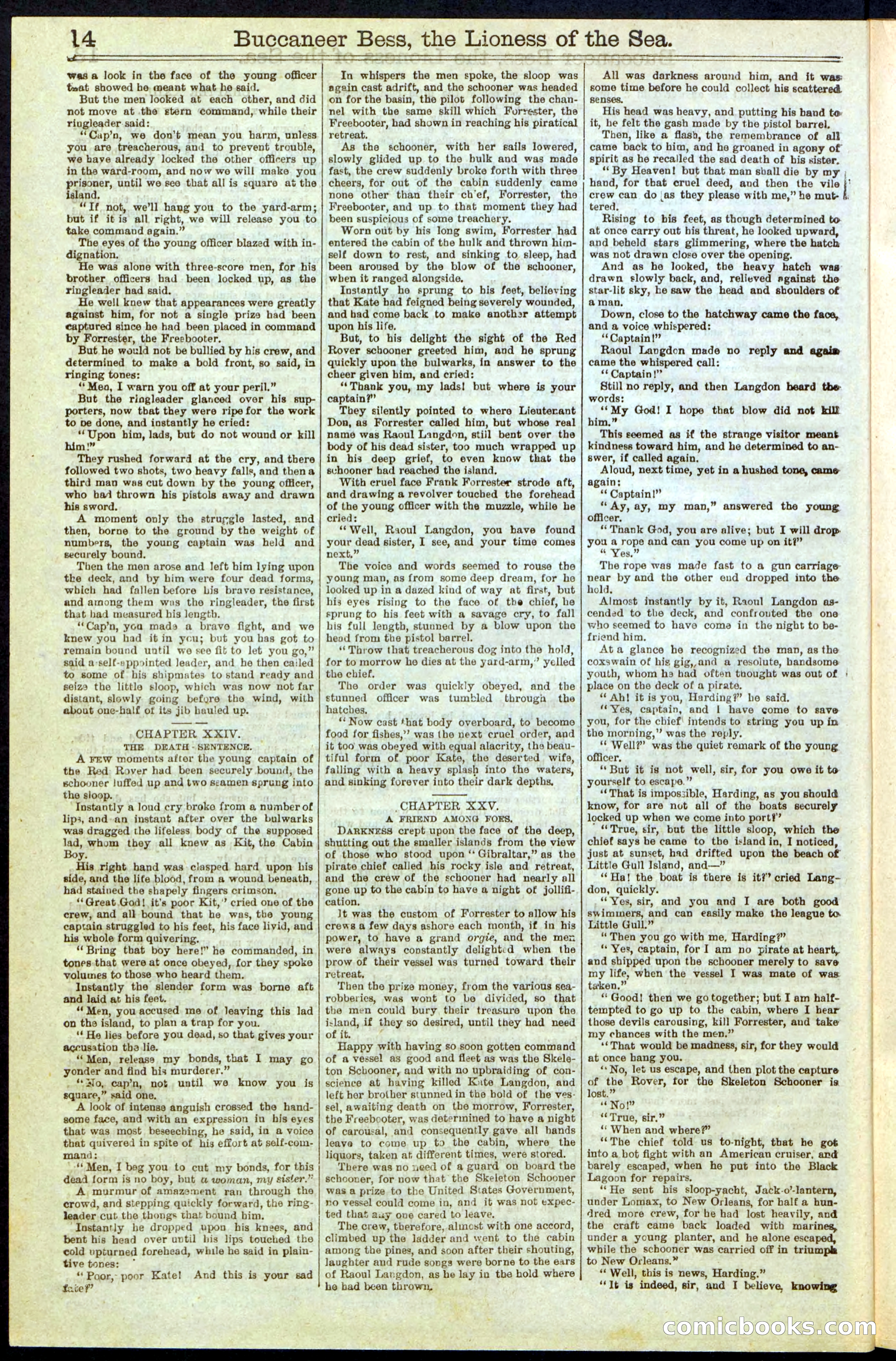 Beadle's New York Dime Library No. 210 — page 14 of 32