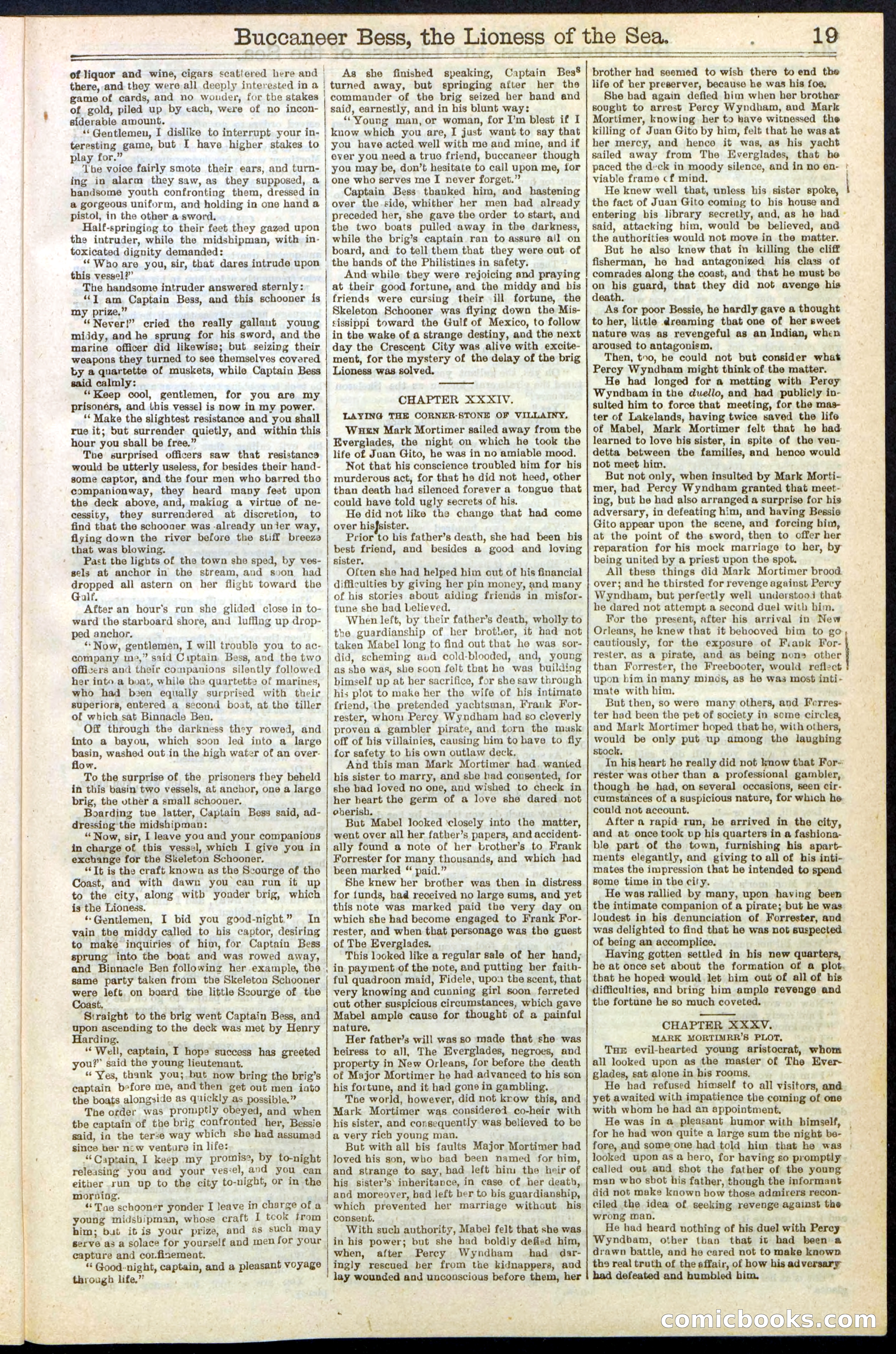 Beadle's New York Dime Library No. 210 — page 19 of 32