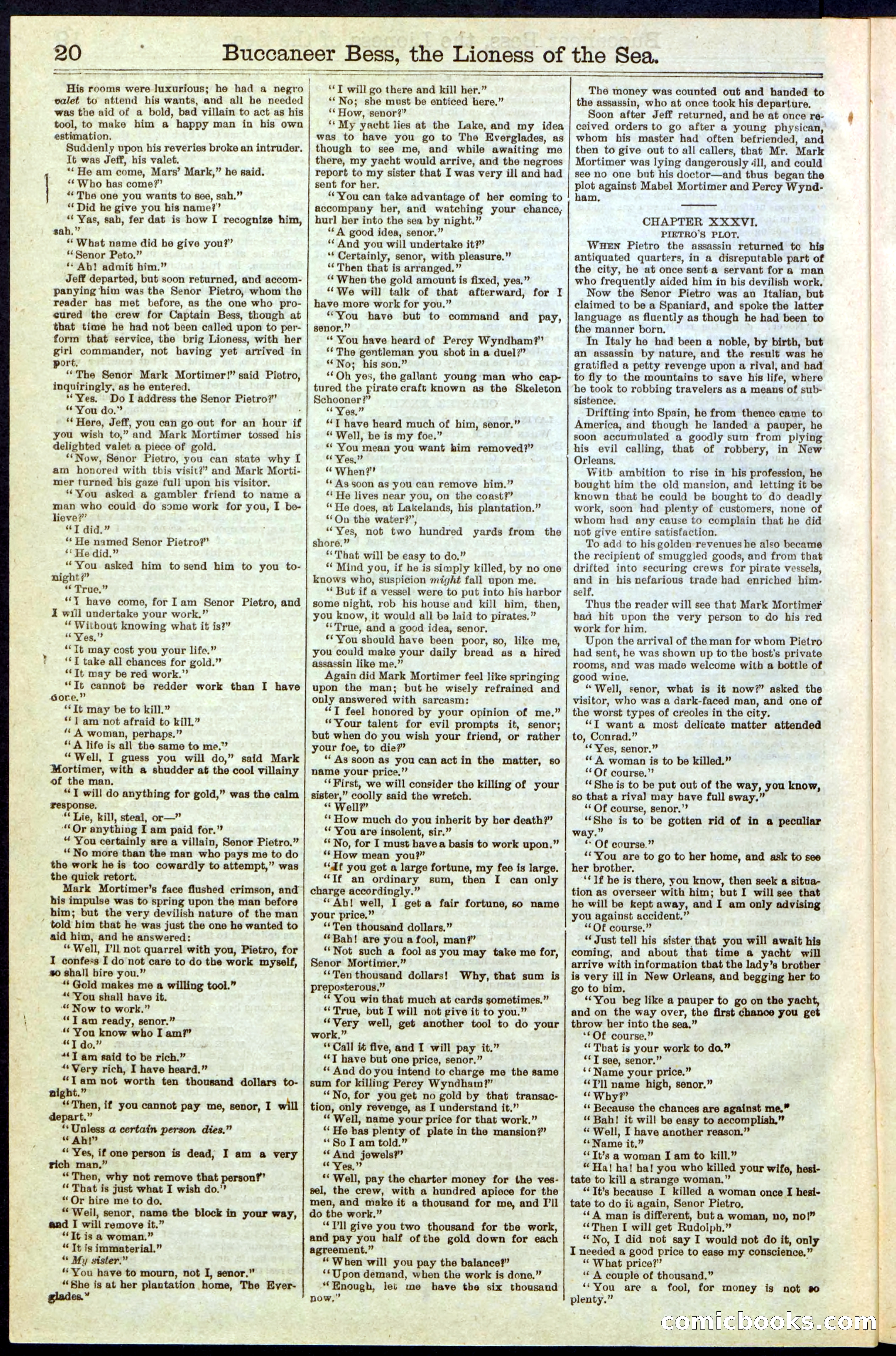 Beadle's New York Dime Library No. 210 — page 20 of 32