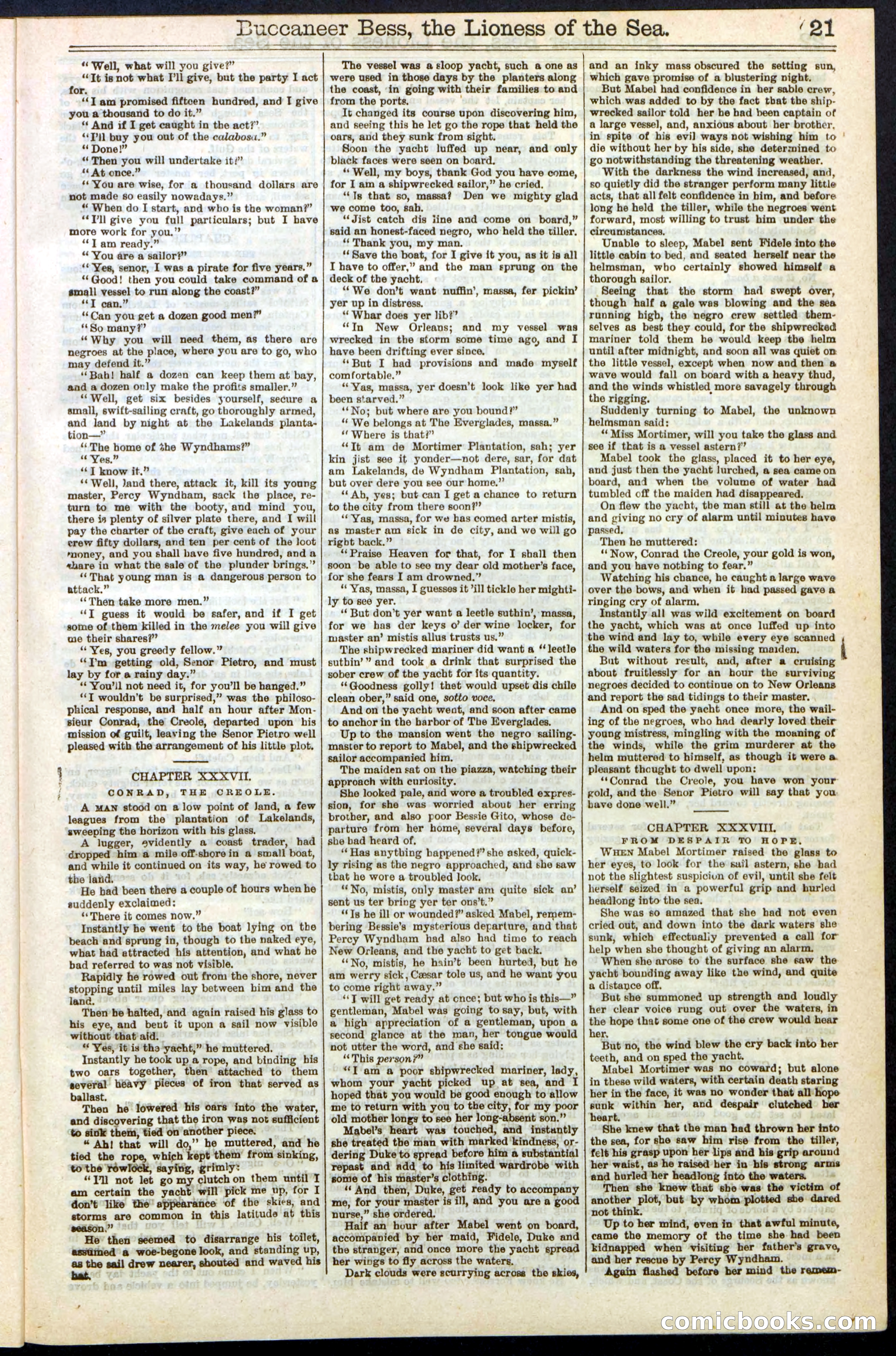 Beadle's New York Dime Library No. 210 — page 21 of 32