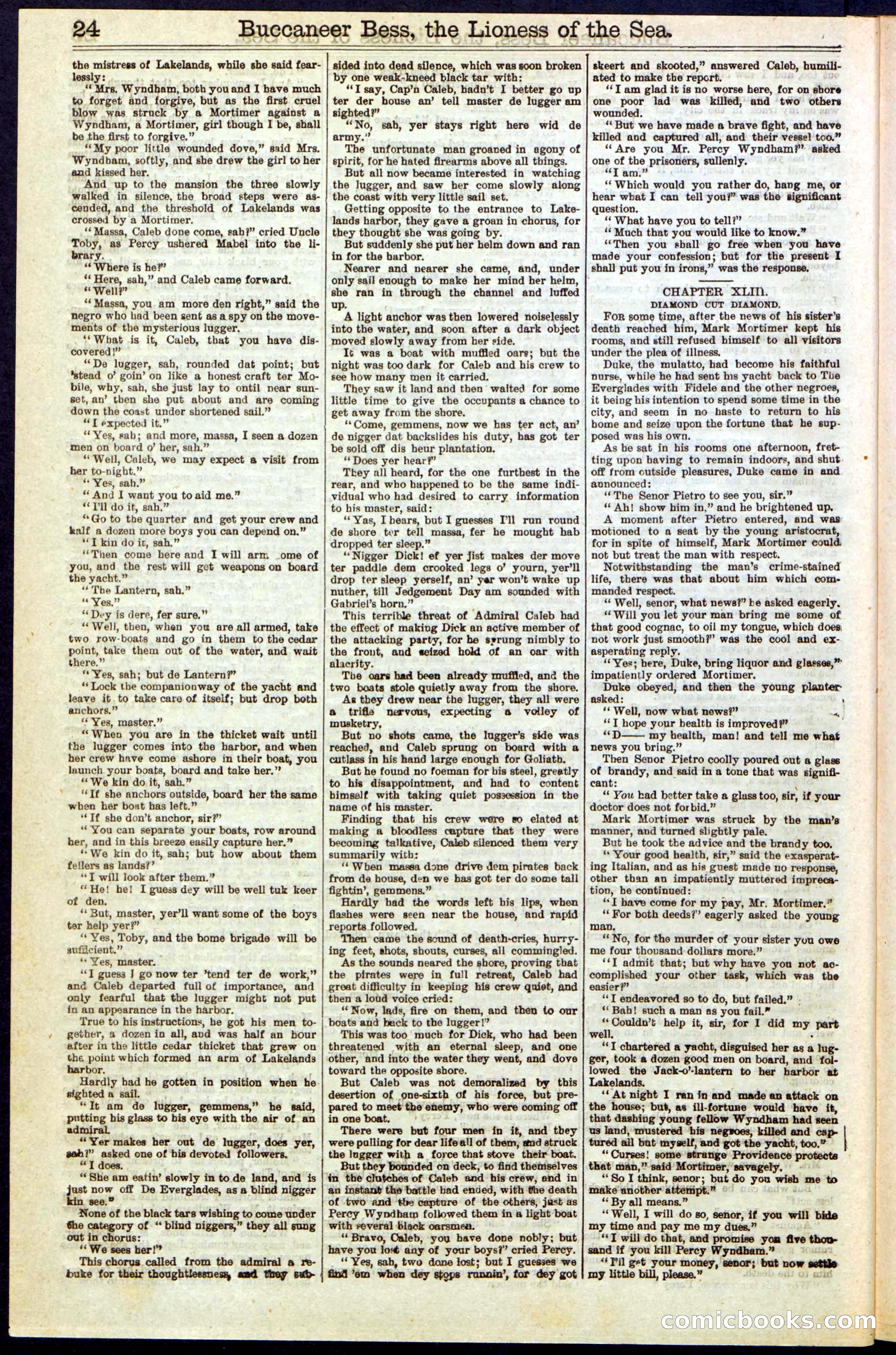 Beadle's New York Dime Library No. 210 — page 24 of 32