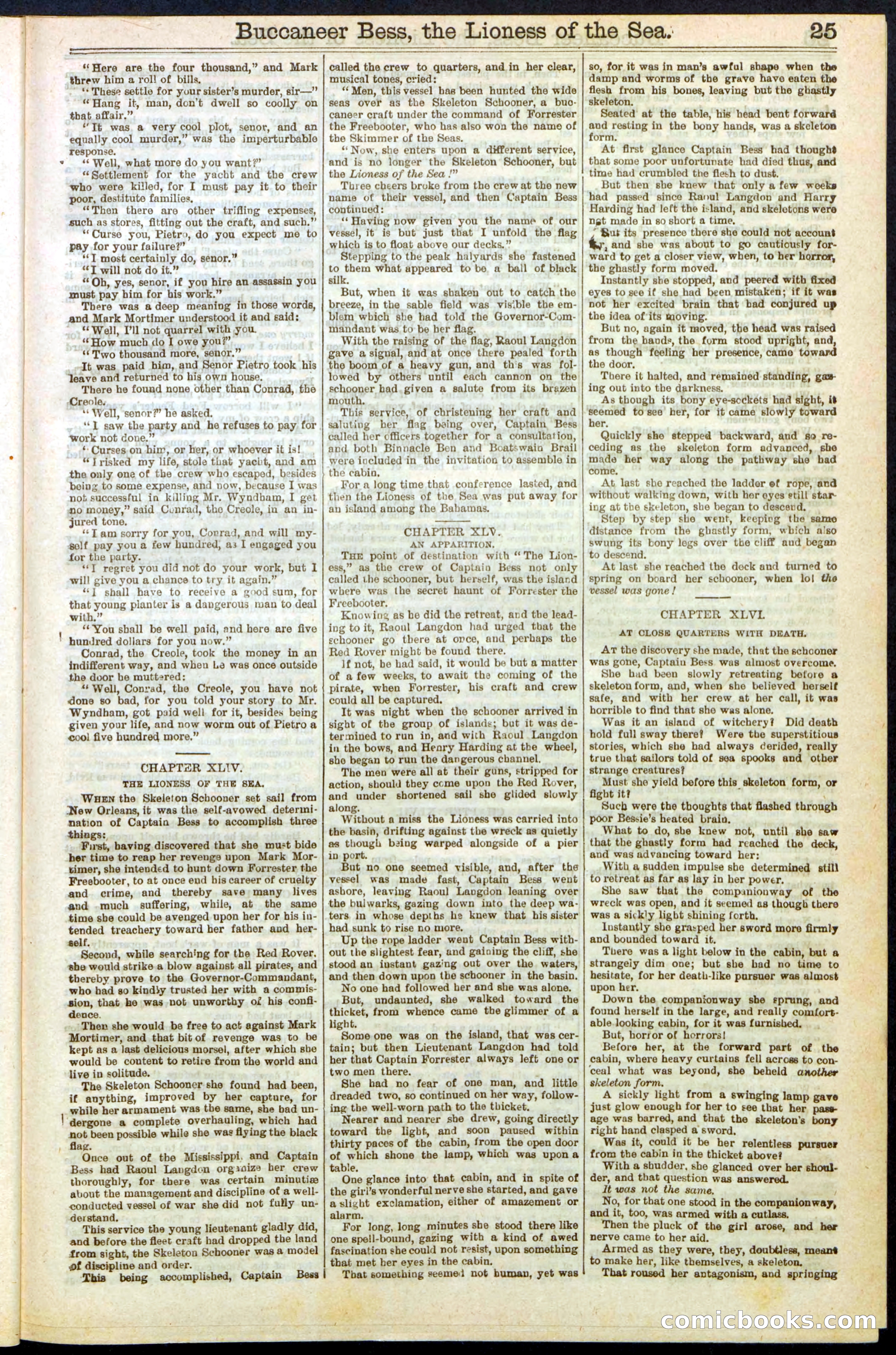 Beadle's New York Dime Library No. 210 — page 25 of 32