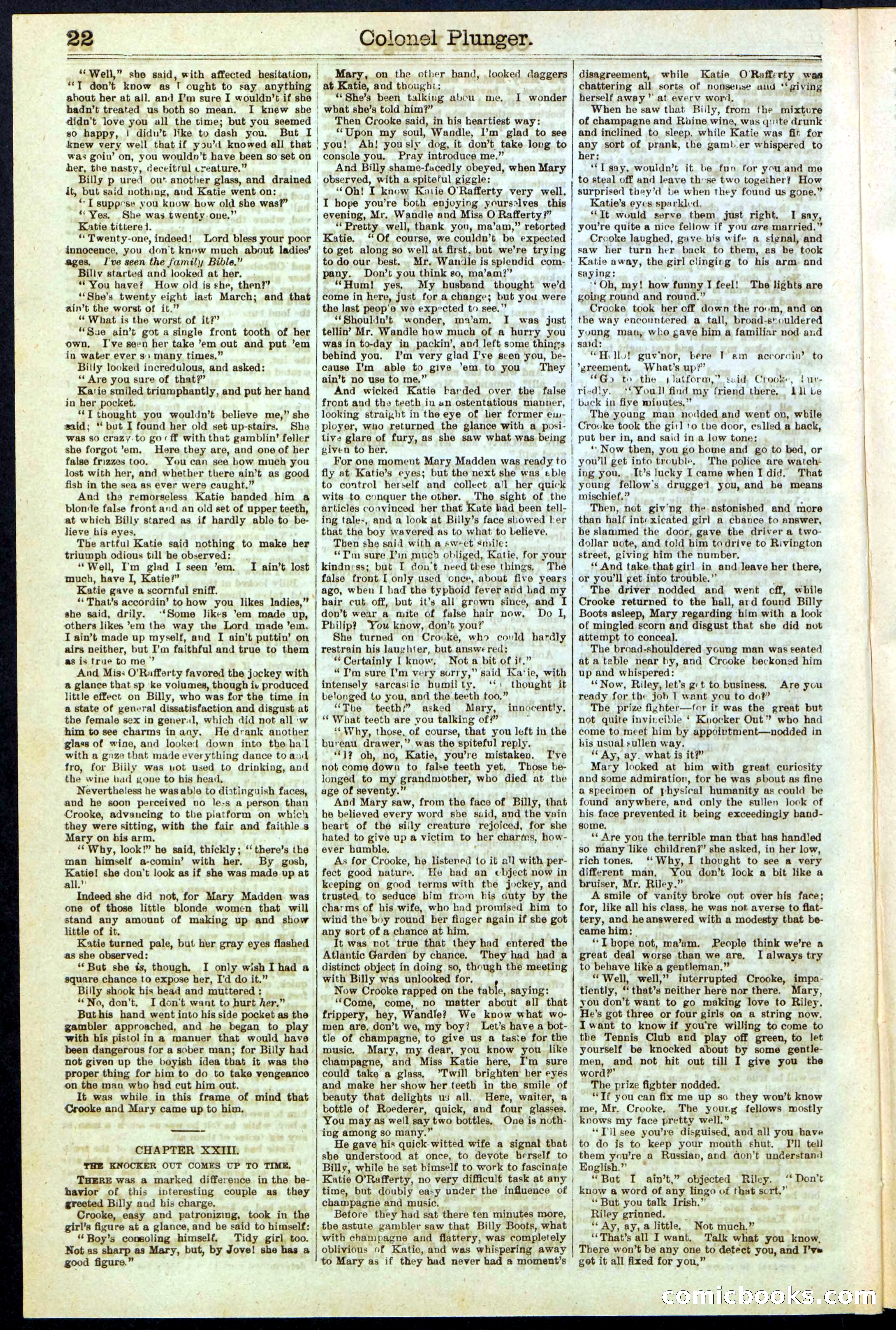 Beadle's Dime Library No. 211 — page 22 of 32
