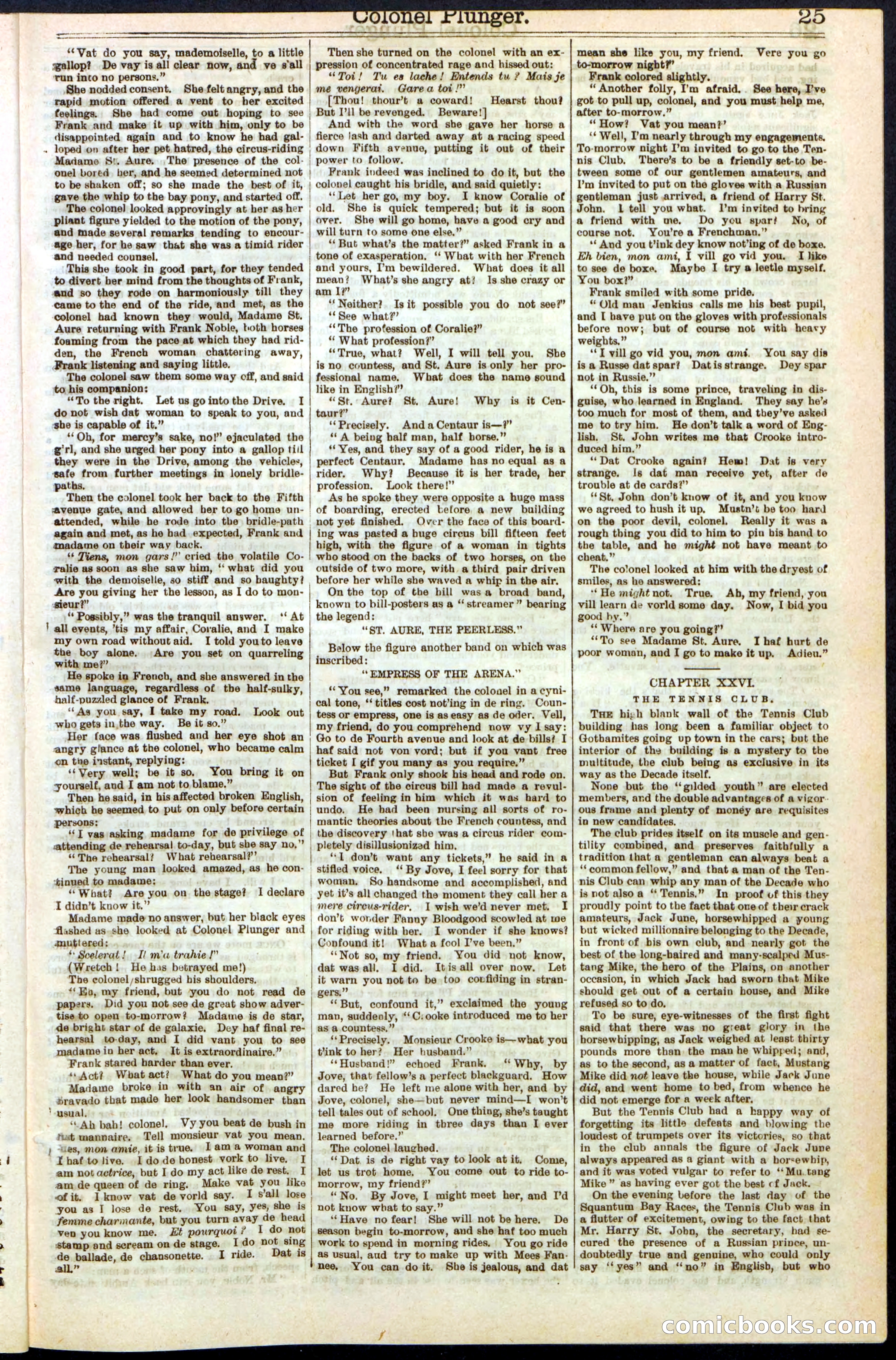 Beadle's Dime Library No. 211 — page 25 of 32