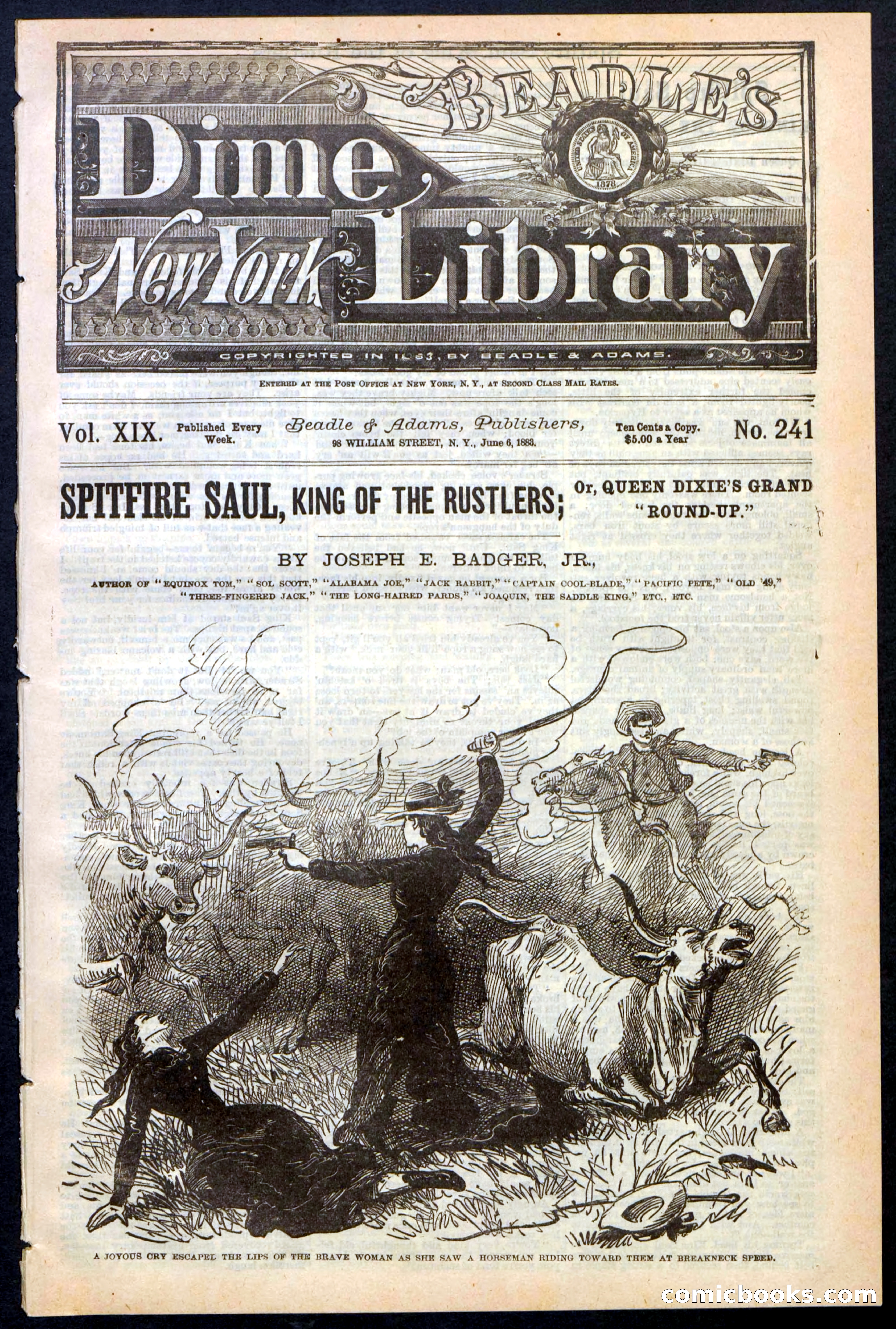 Beadle's New York Dime Library No. 241 — page 1 of 32