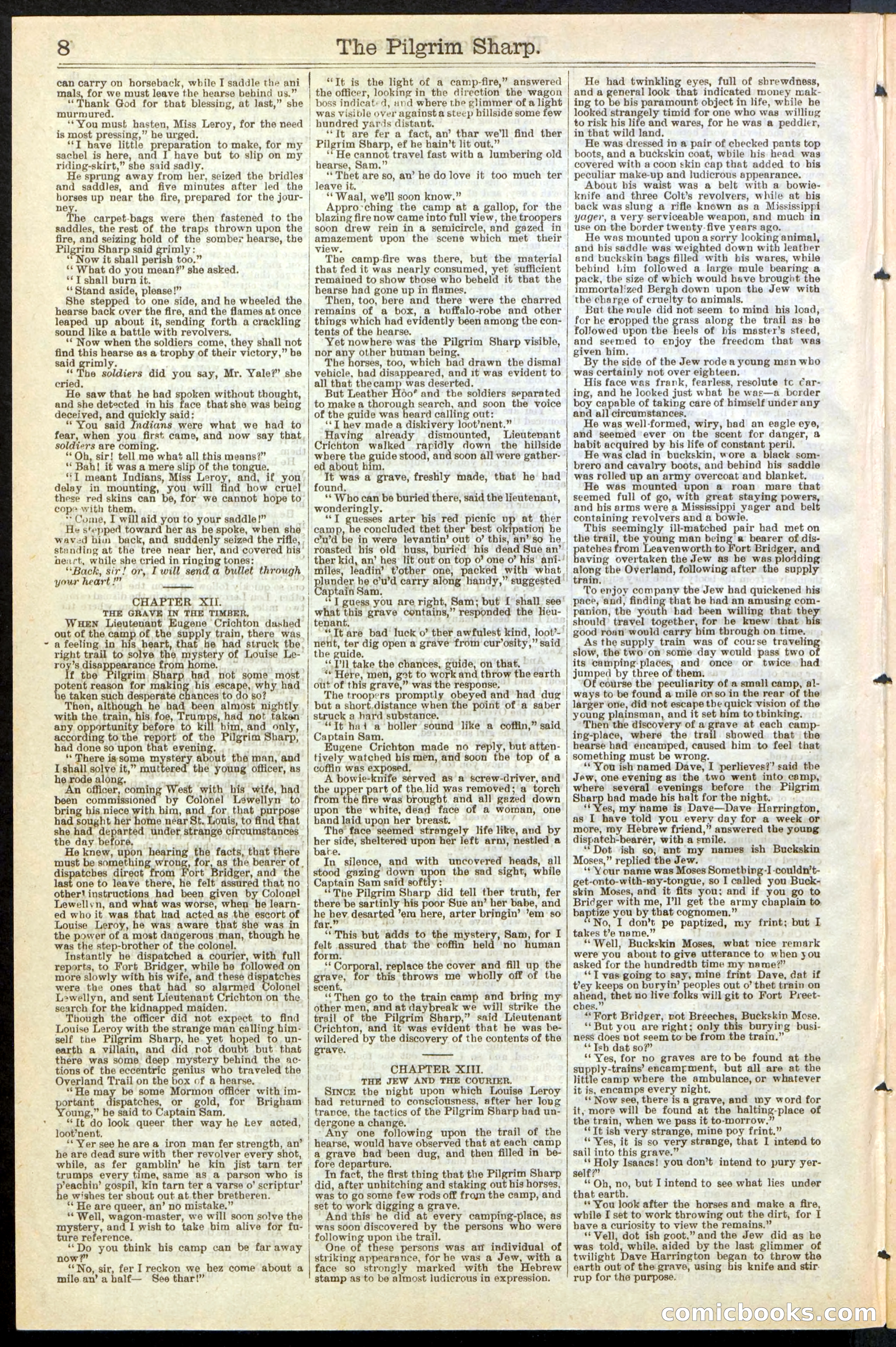Beadle's New York Dime Library No. 243 — page 8 of 32