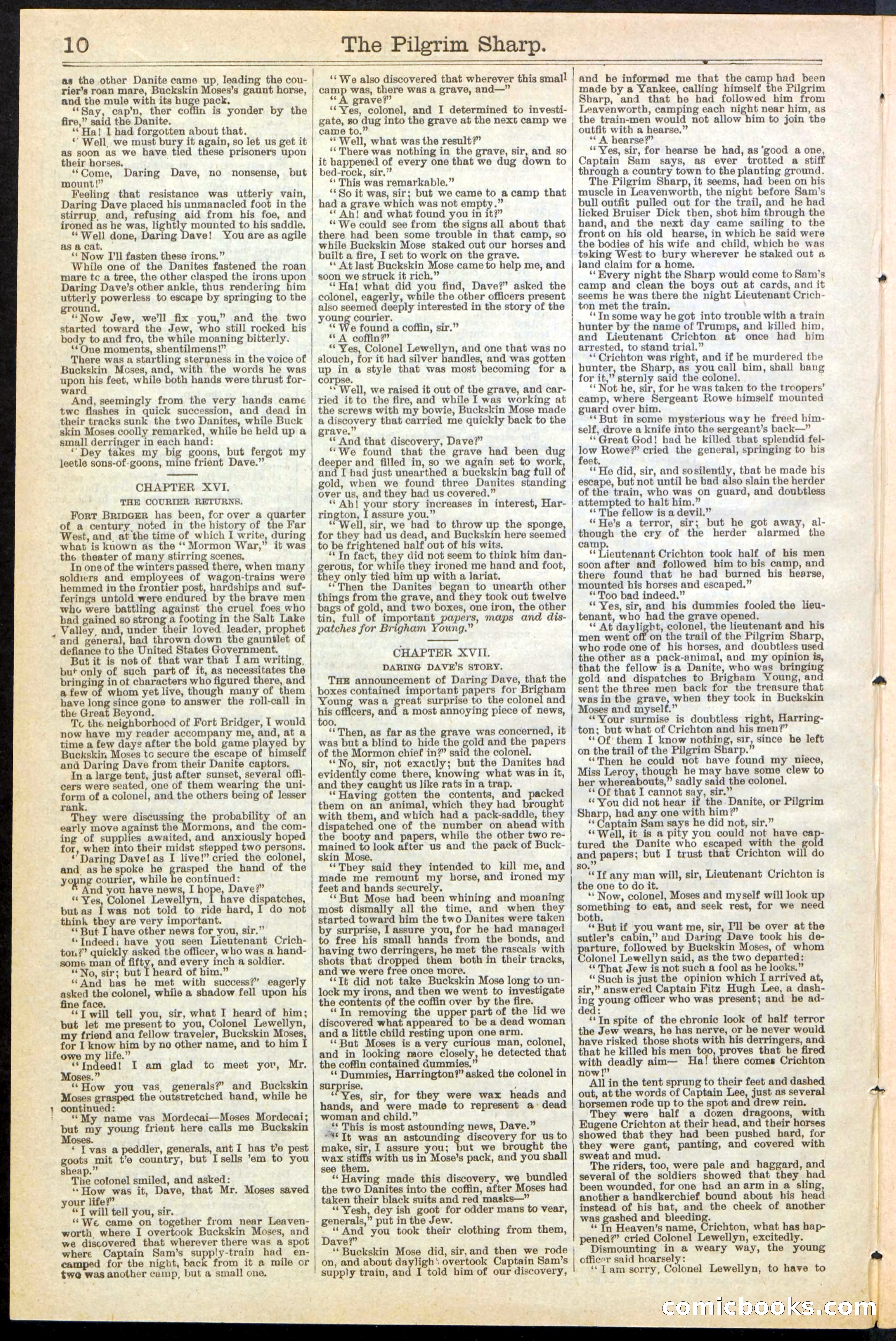 Beadle's New York Dime Library No. 243 — page 10 of 32