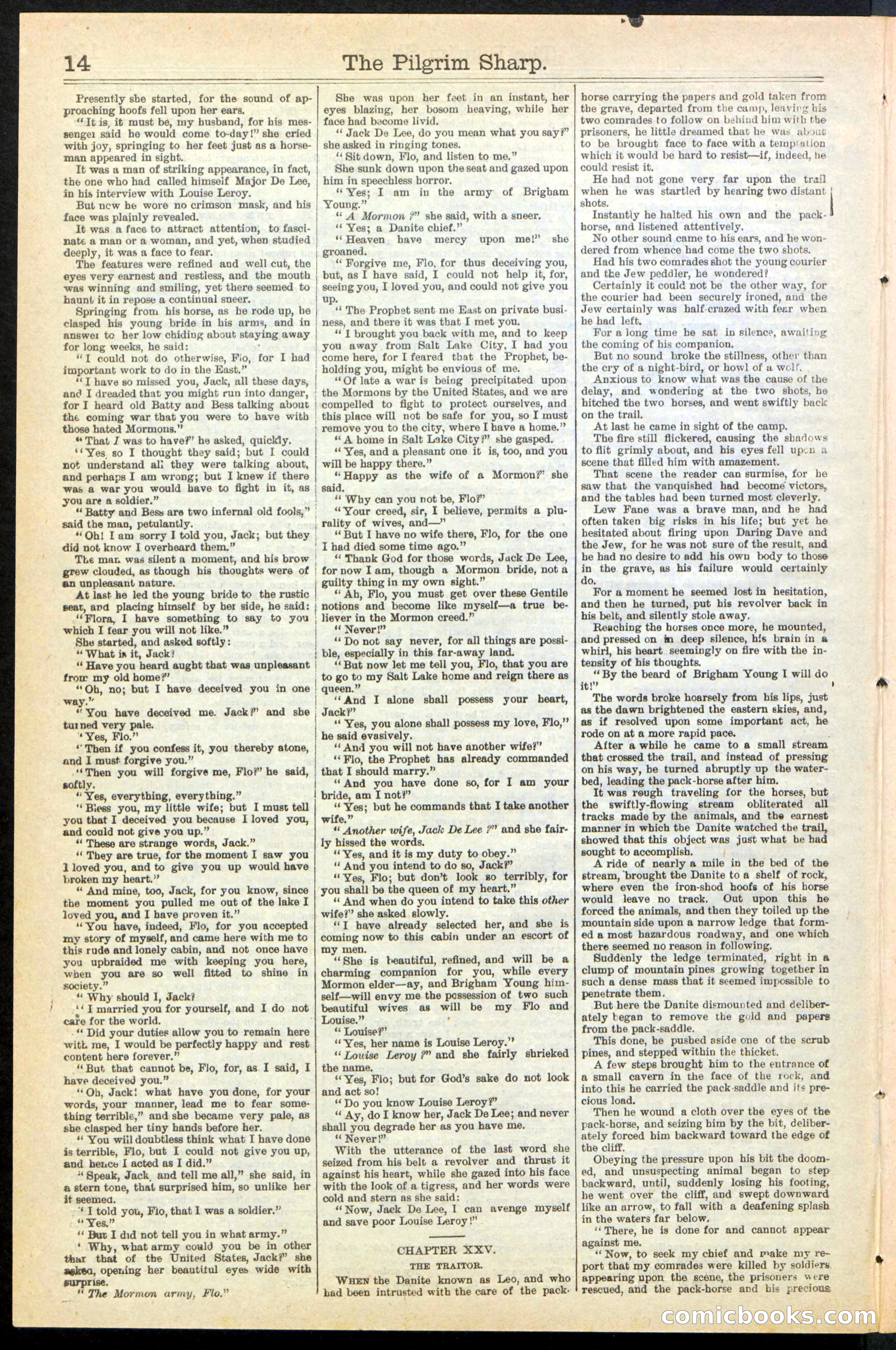 Beadle's New York Dime Library No. 243 — page 14 of 32