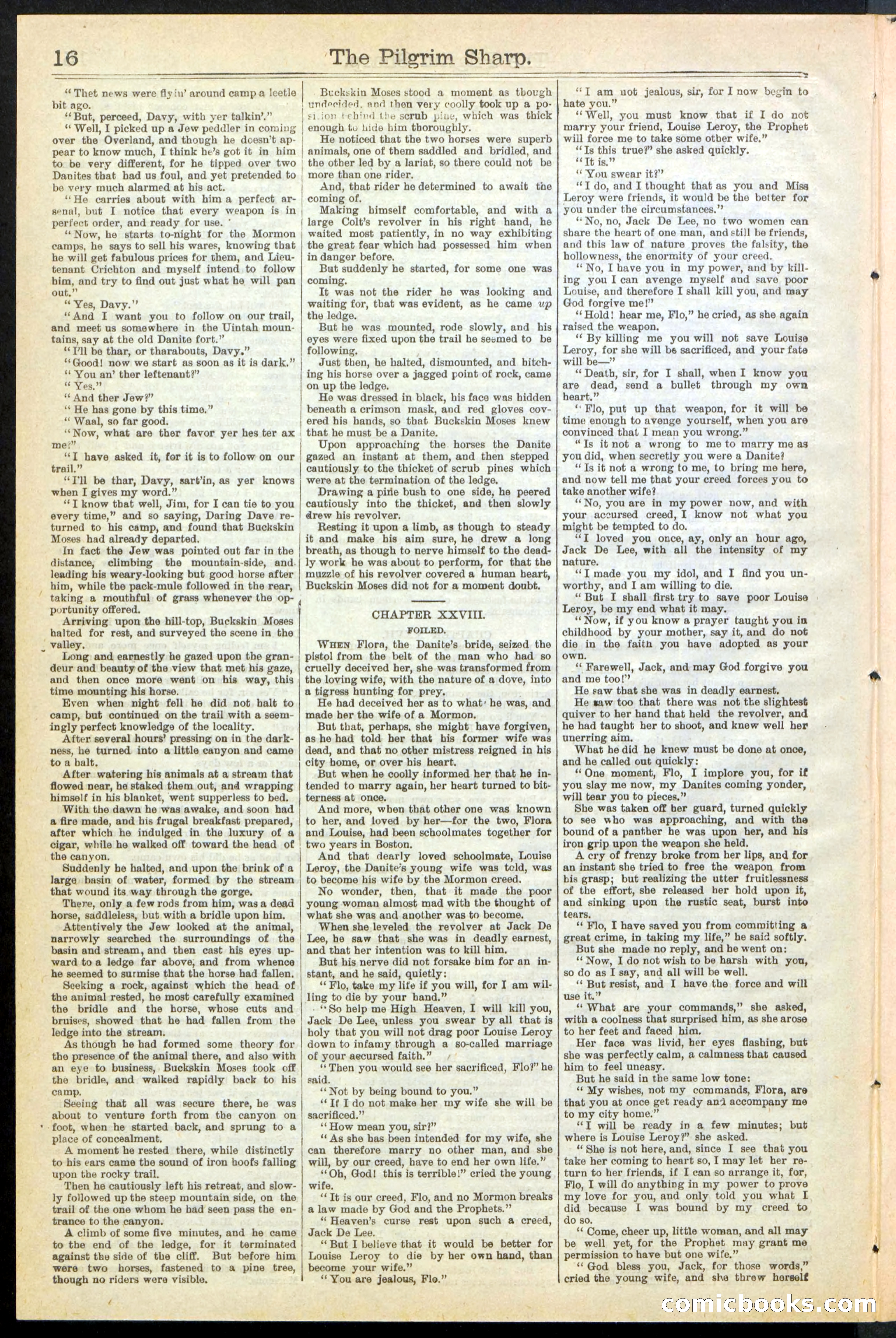 Beadle's New York Dime Library No. 243 — page 16 of 32