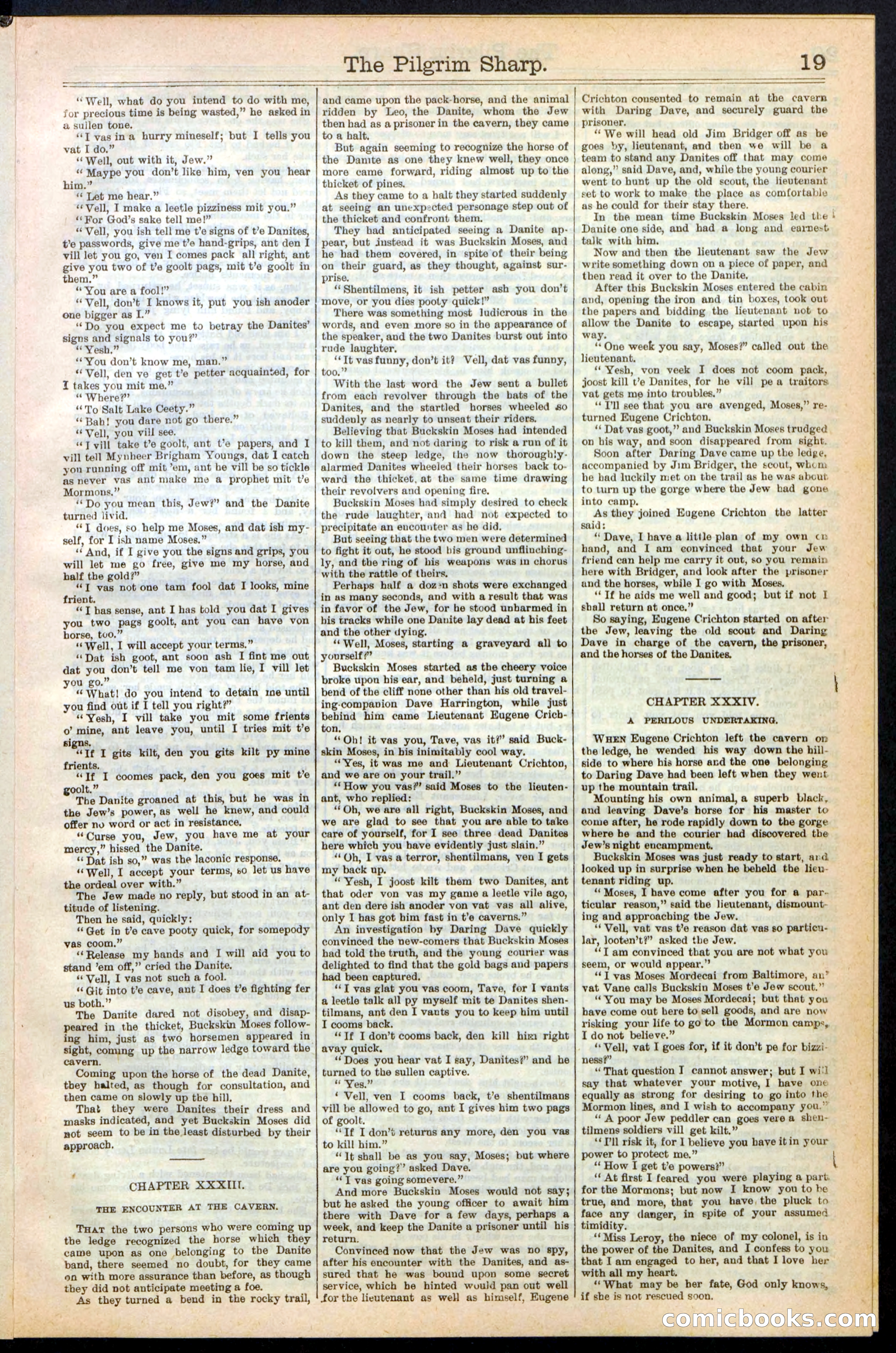 Beadle's New York Dime Library No. 243 — page 19 of 32