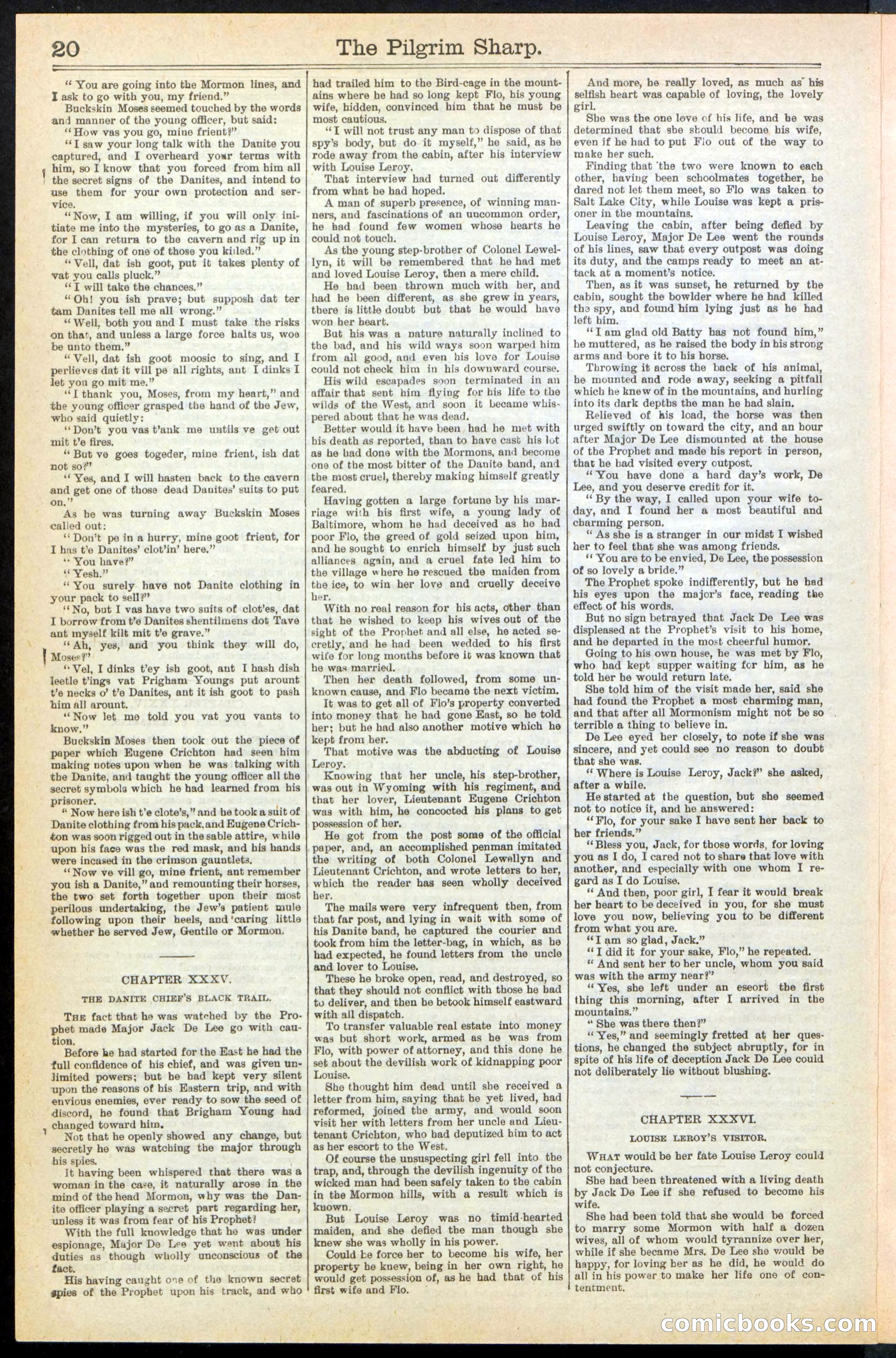 Beadle's New York Dime Library No. 243 — page 20 of 32