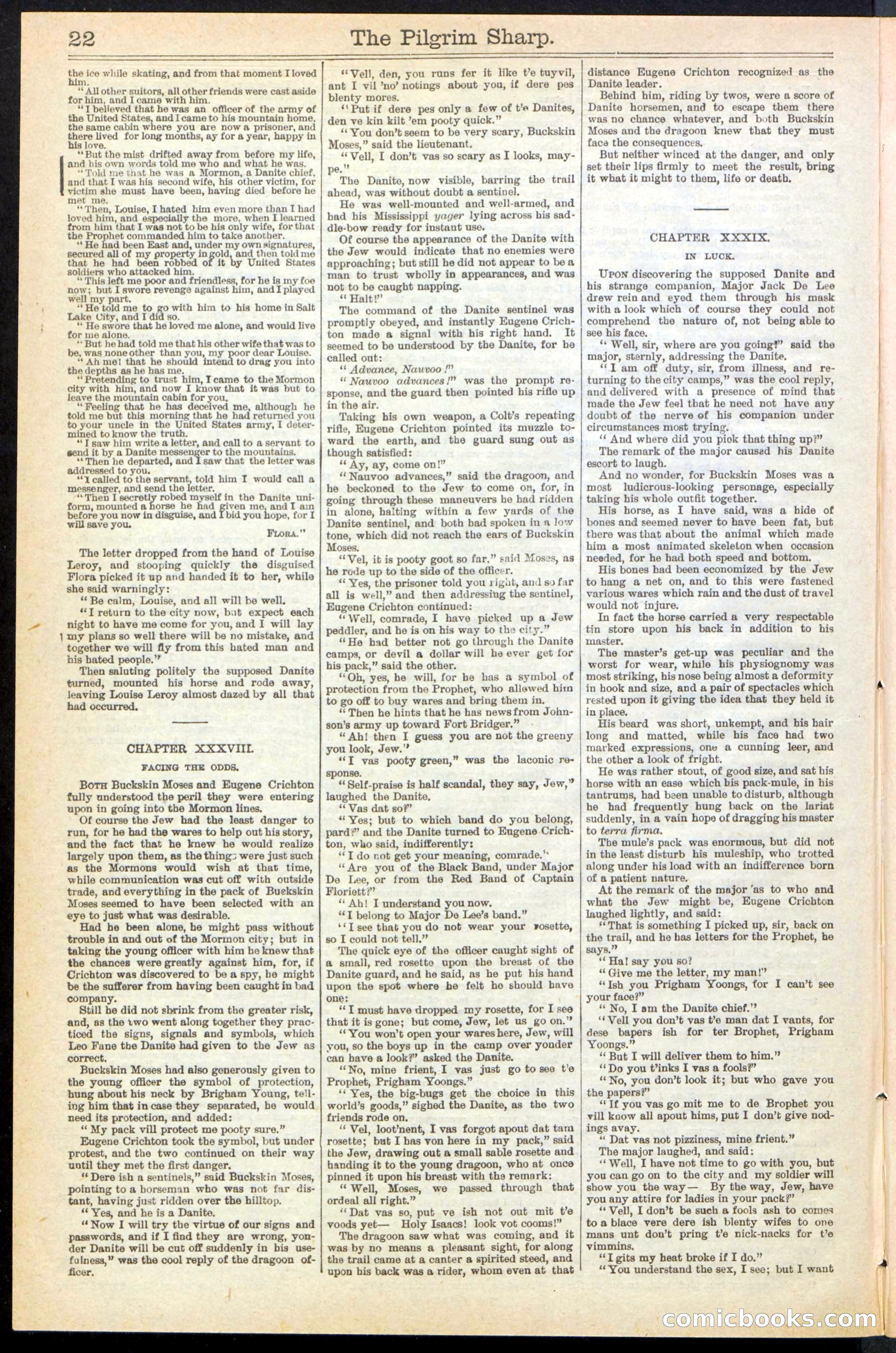 Beadle's New York Dime Library No. 243 — page 22 of 32