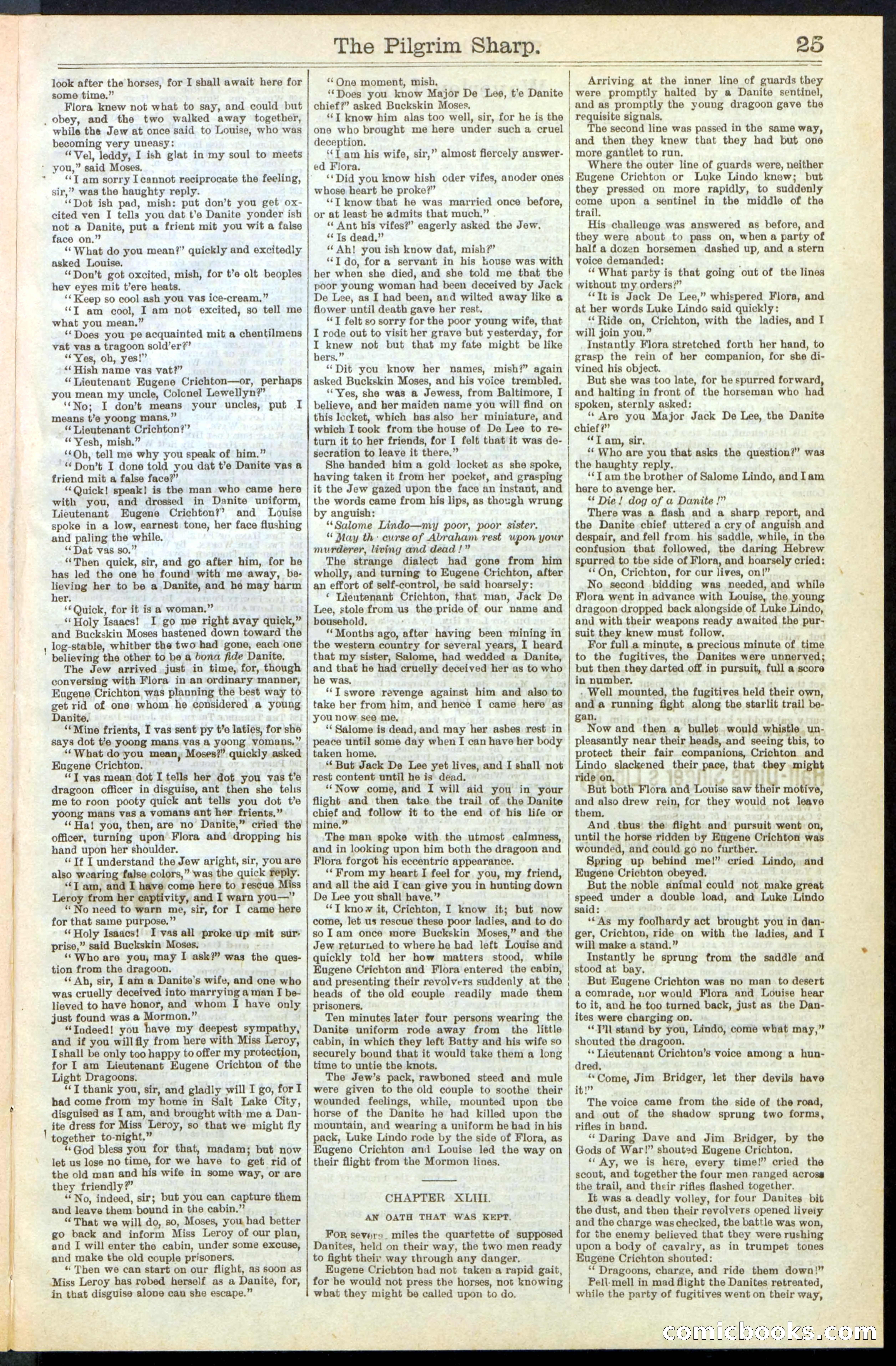 Beadle's New York Dime Library No. 243 — page 25 of 32