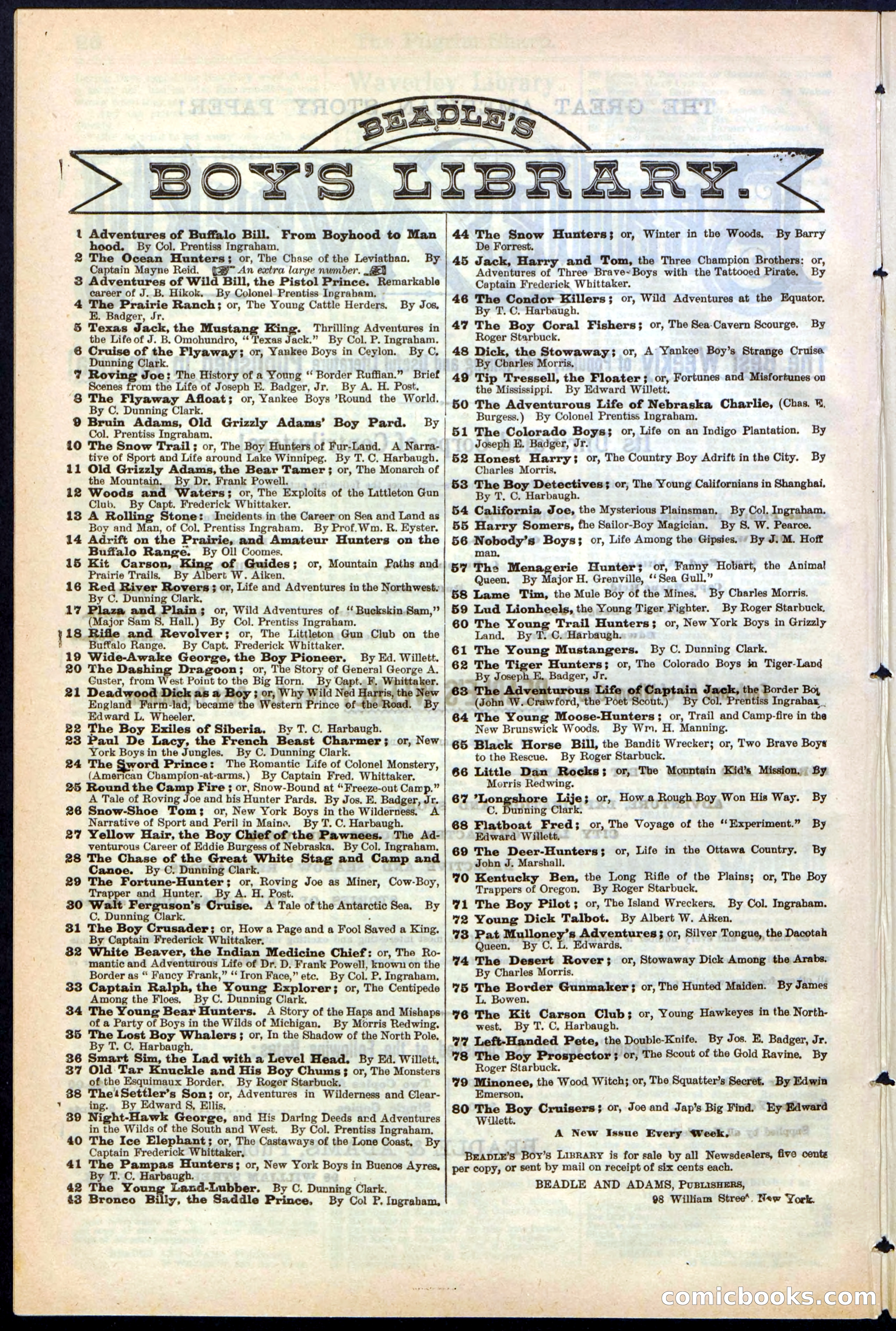 Beadle's New York Dime Library No. 243 — page 28 of 32