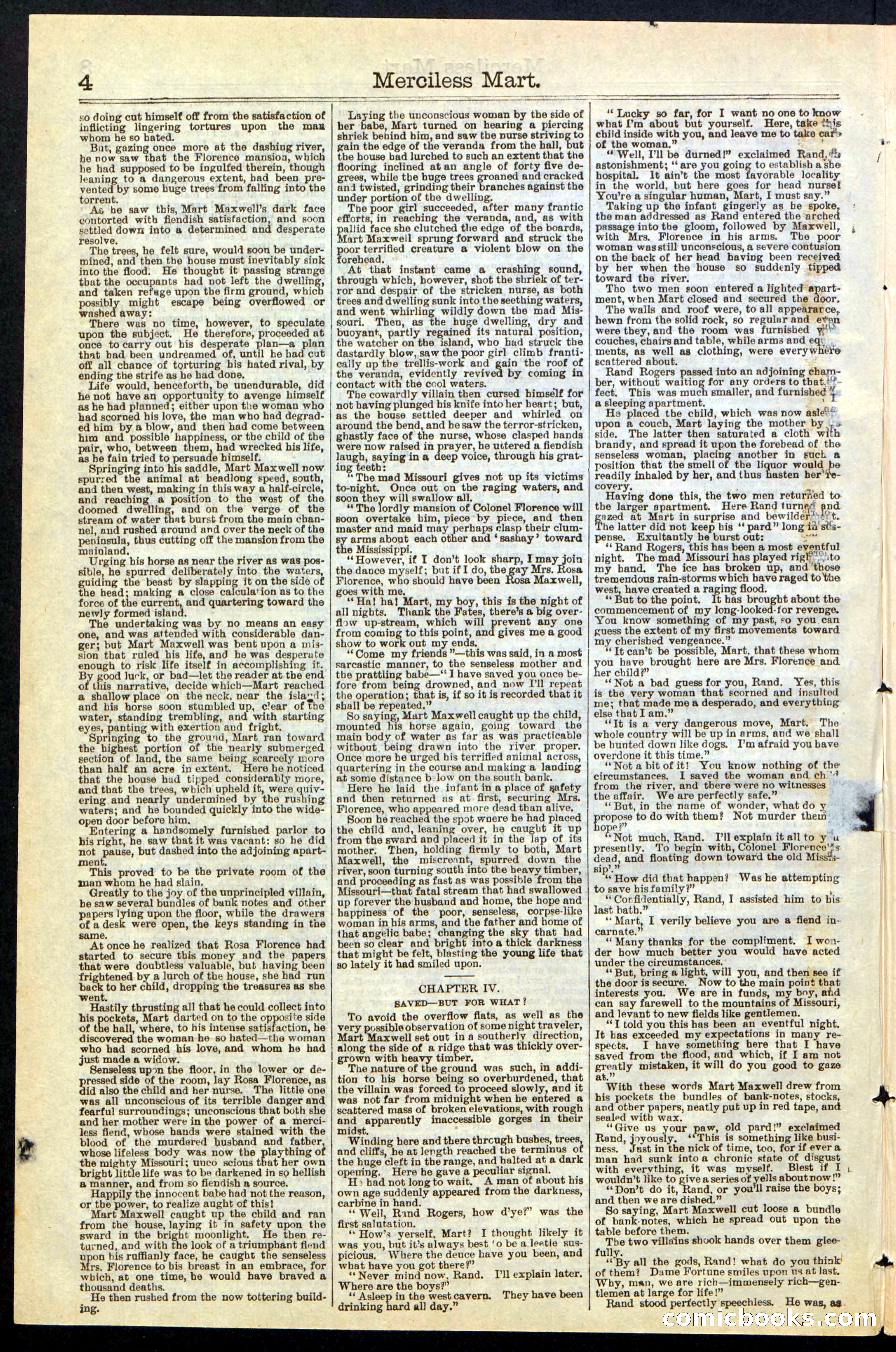 Beadle's New York Dime Library, No. 244 — page 4 of 24