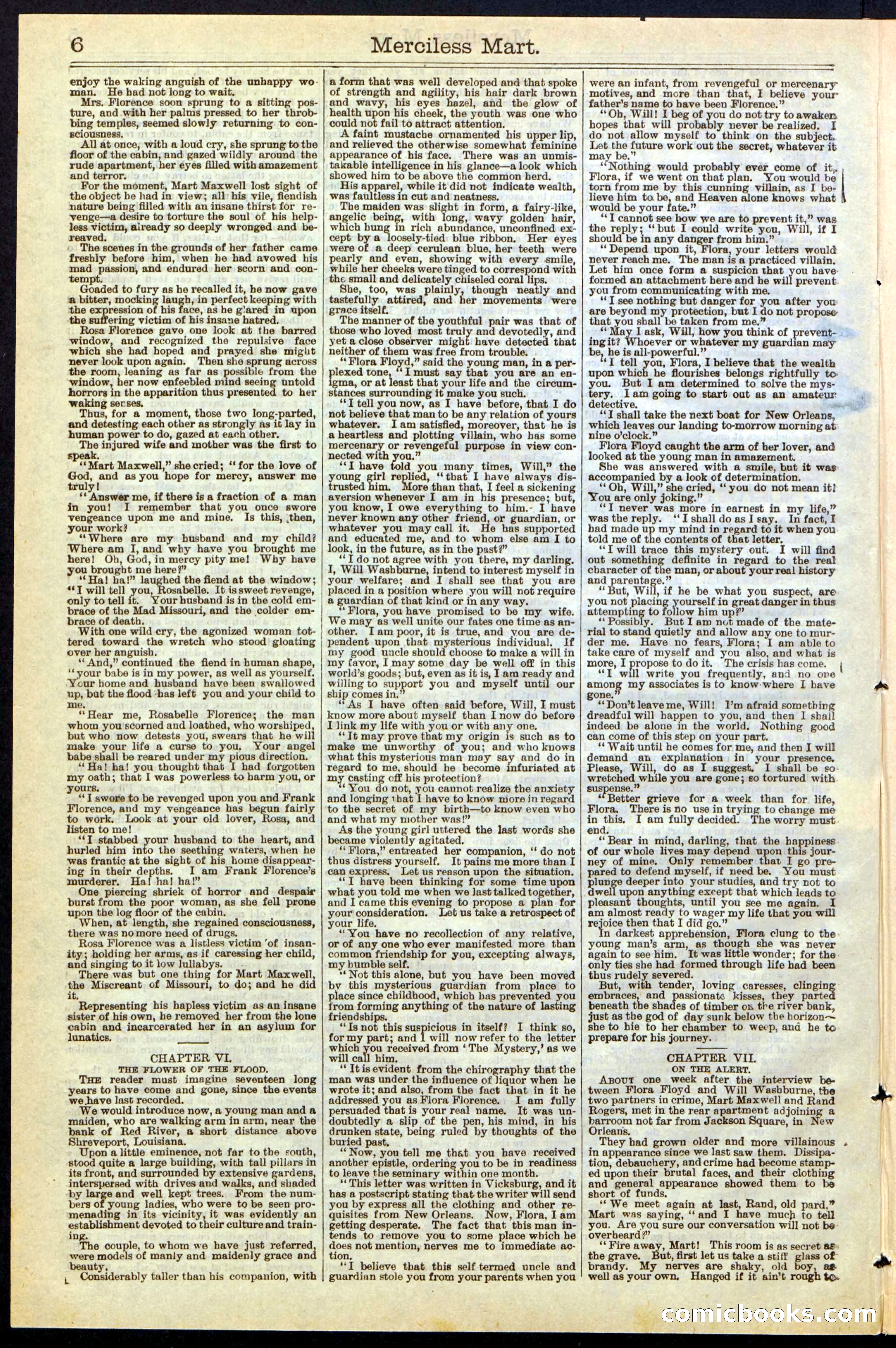 Beadle's New York Dime Library, No. 244 — page 6 of 24