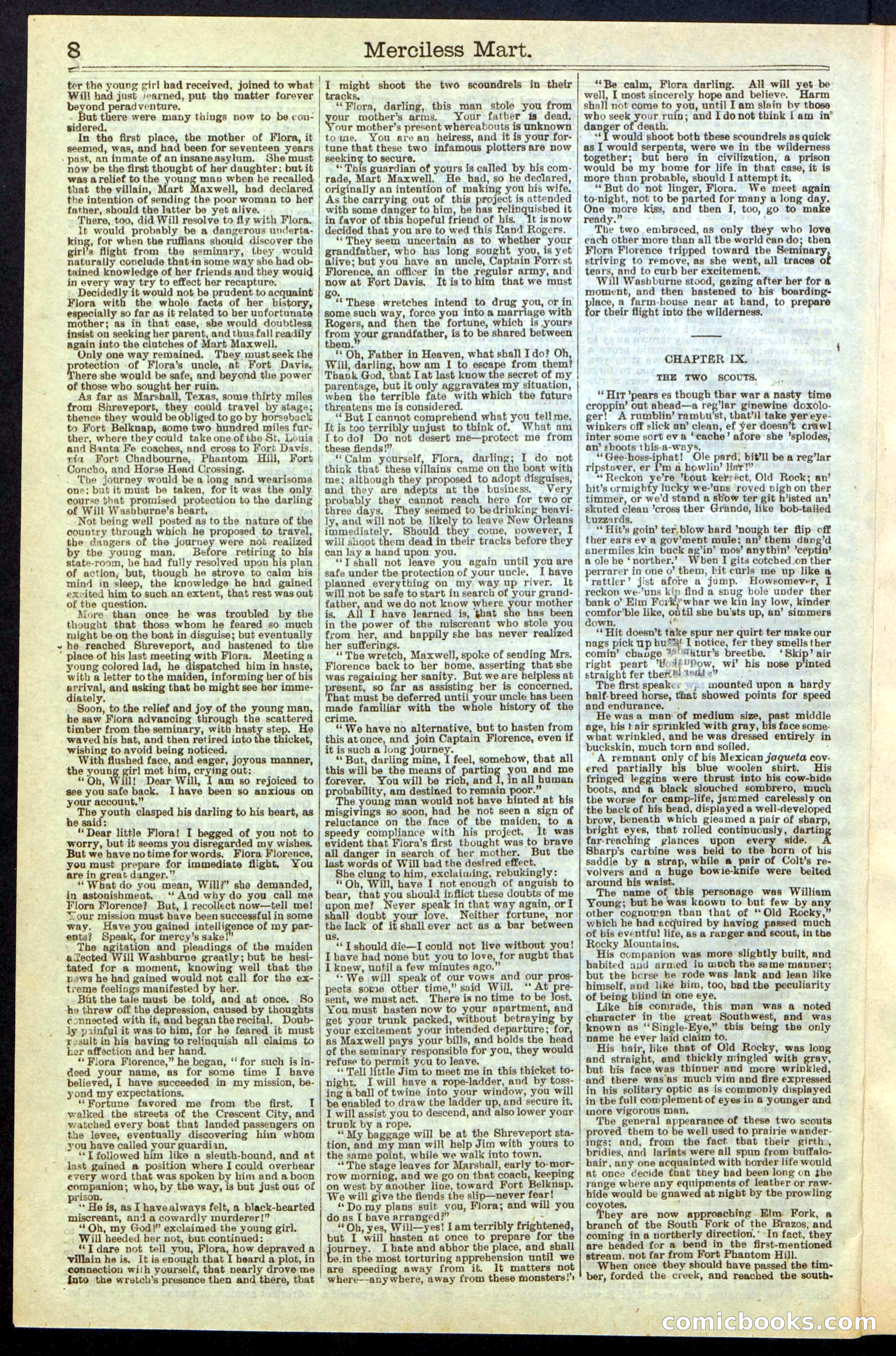 Beadle's New York Dime Library, No. 244 — page 8 of 24