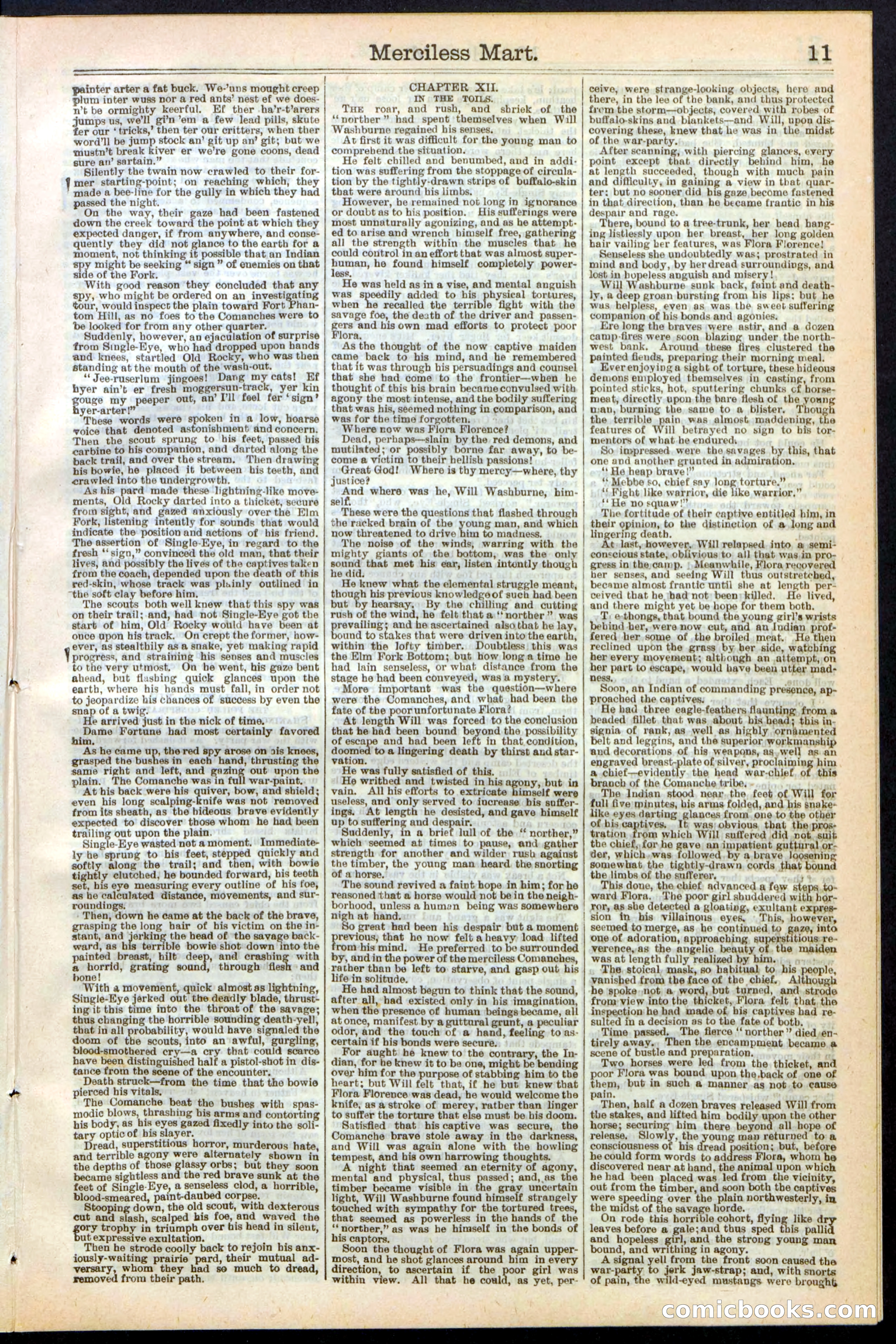 Beadle's New York Dime Library, No. 244 — page 11 of 24