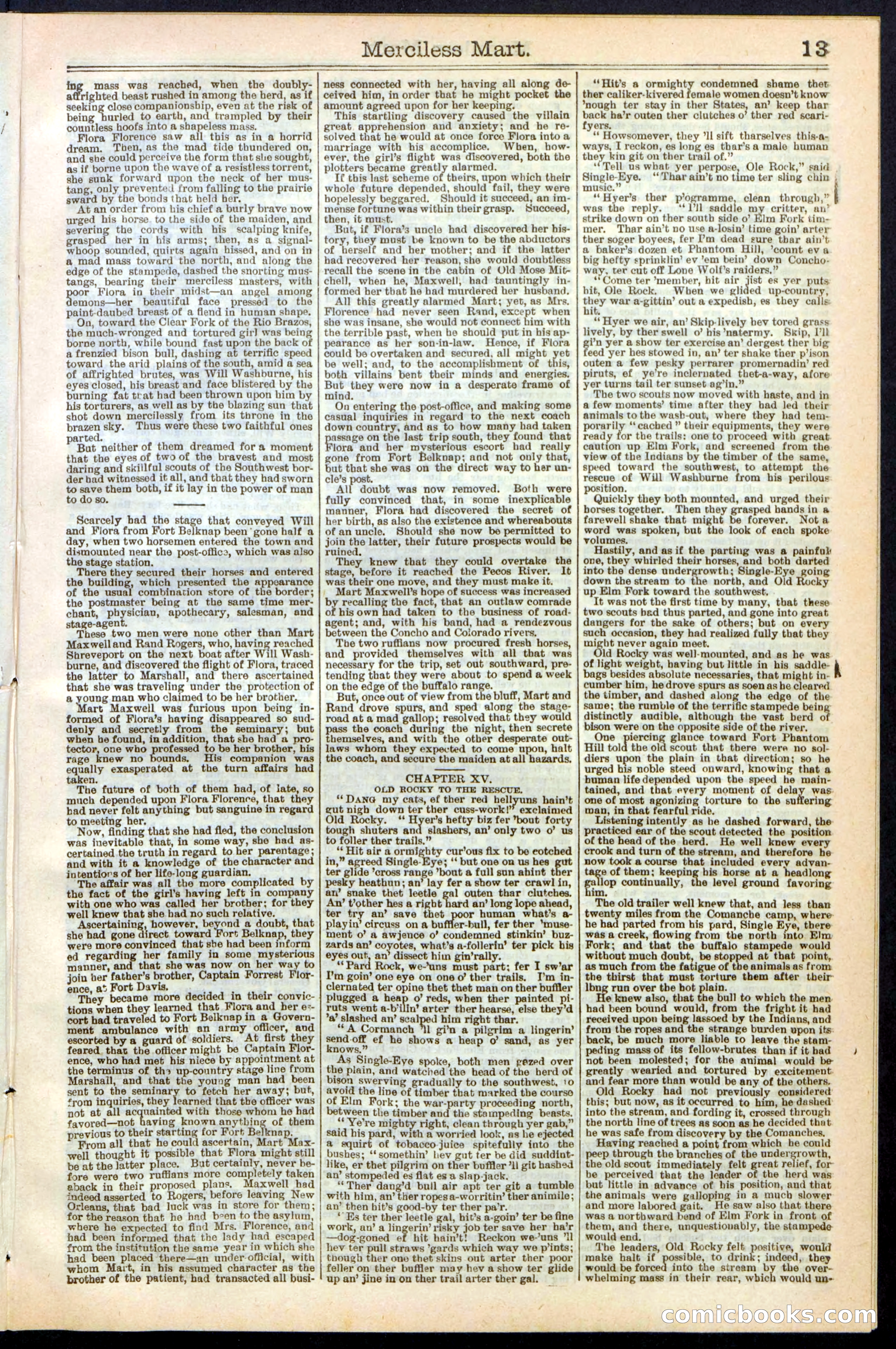 Beadle's New York Dime Library, No. 244 — page 13 of 24
