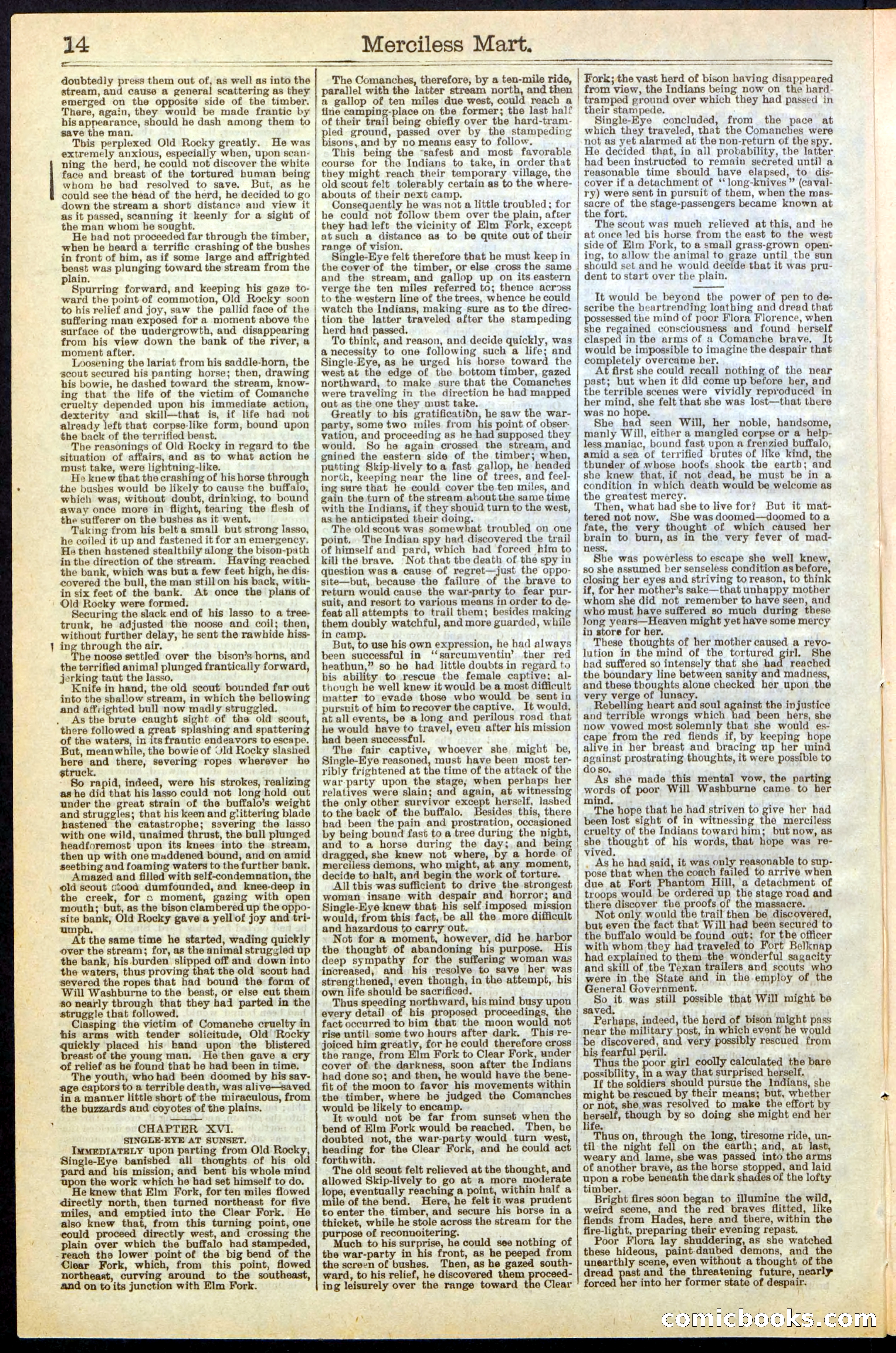 Beadle's New York Dime Library, No. 244 — page 14 of 24